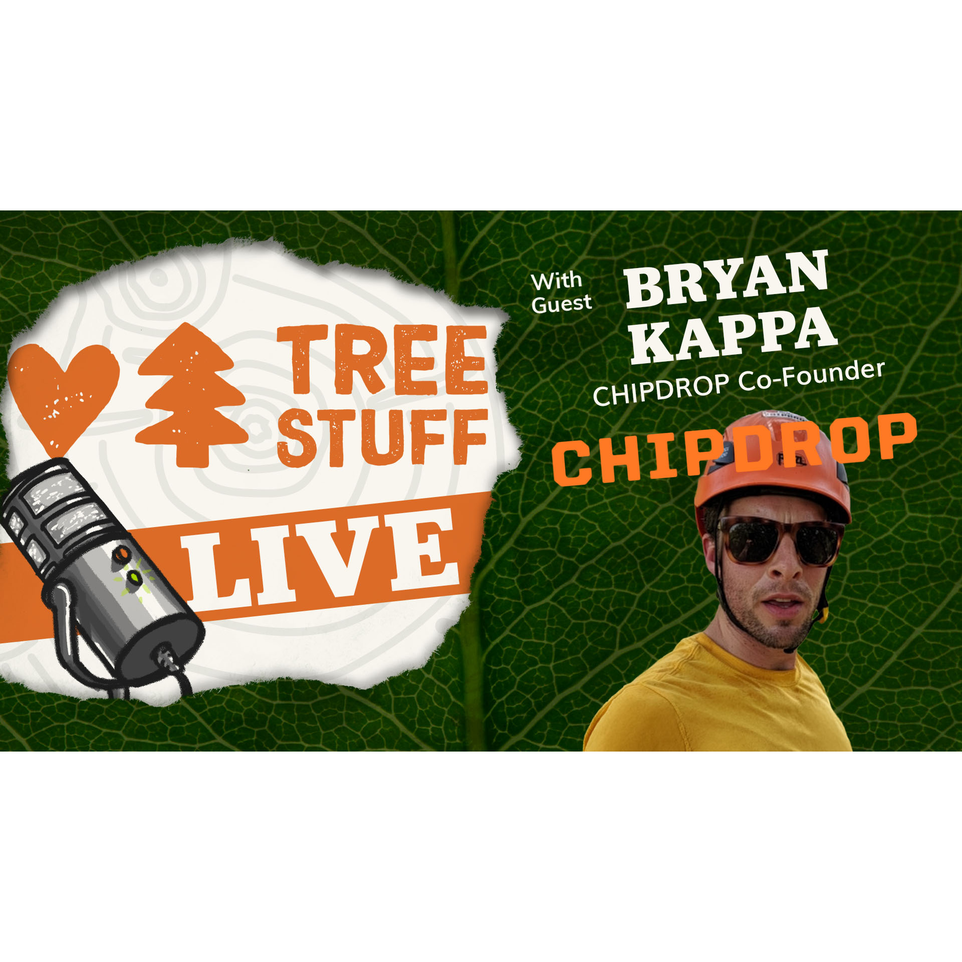 Podcast artwork