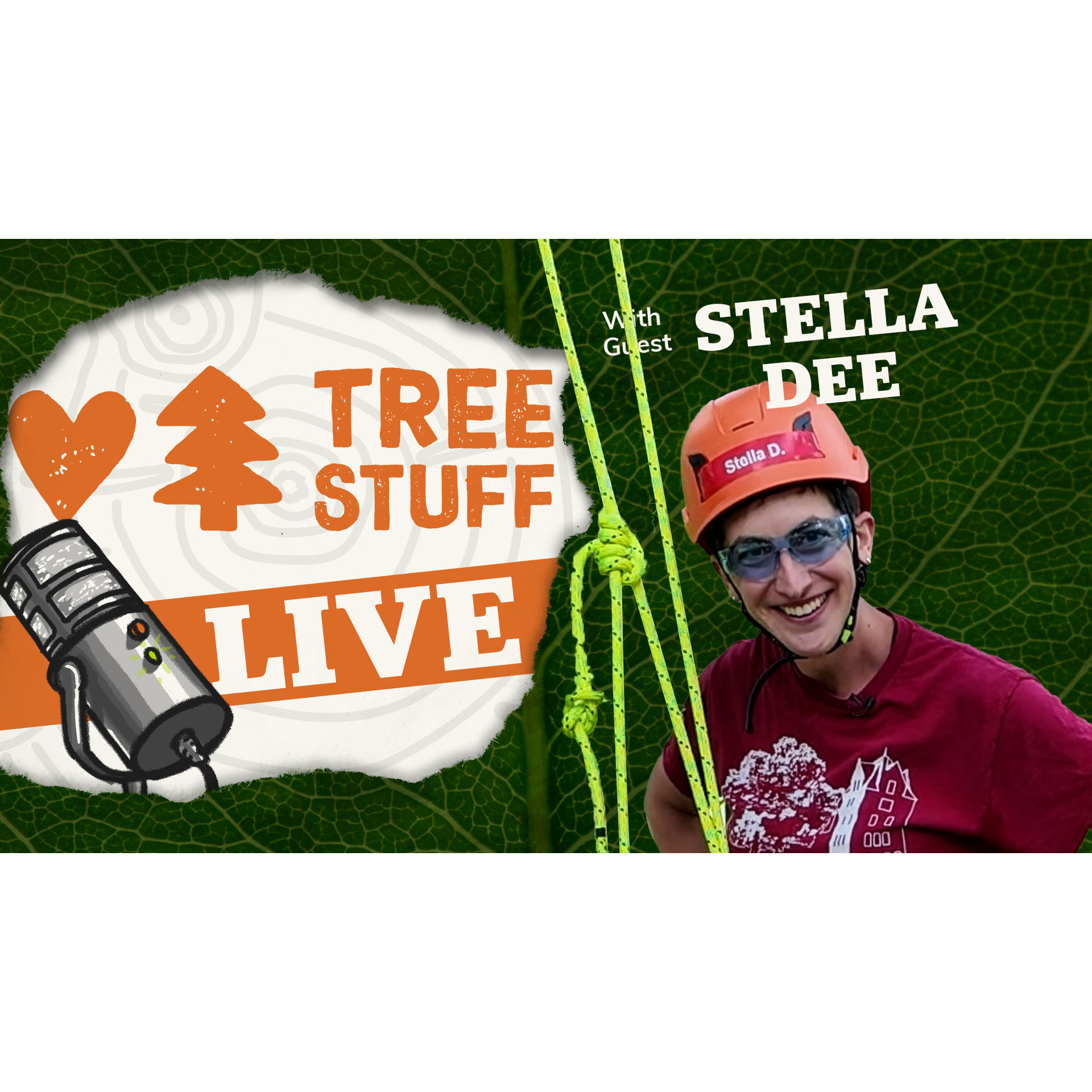 Podcast artwork