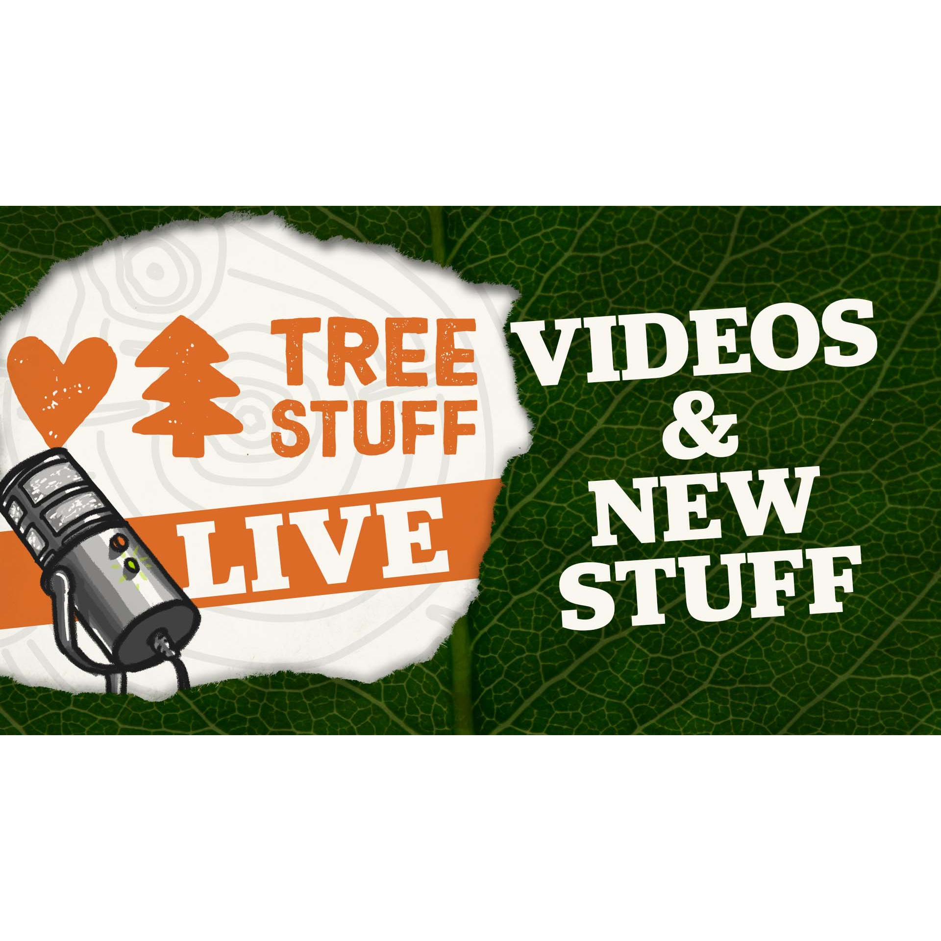 Podcast artwork