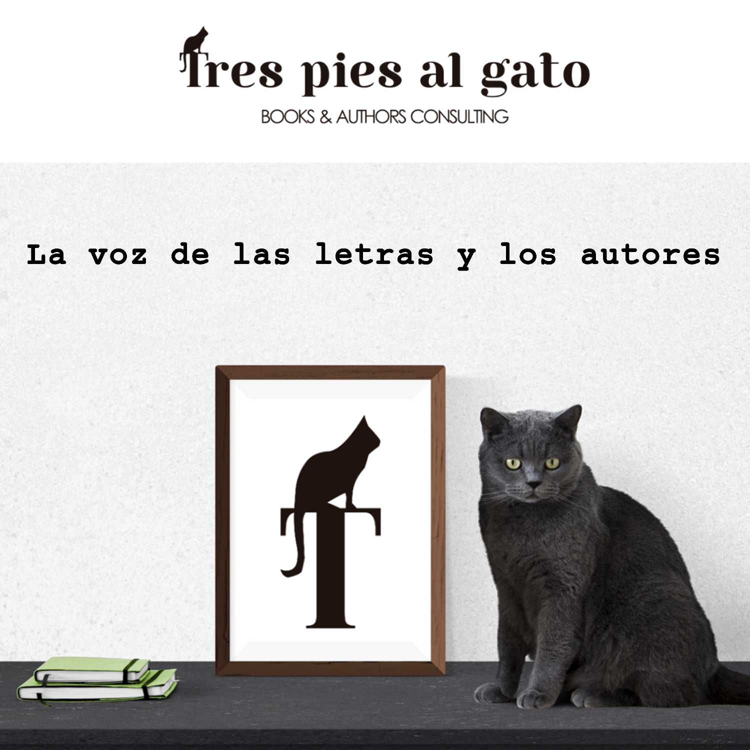 Tres pies al gato Consultoría Literaria