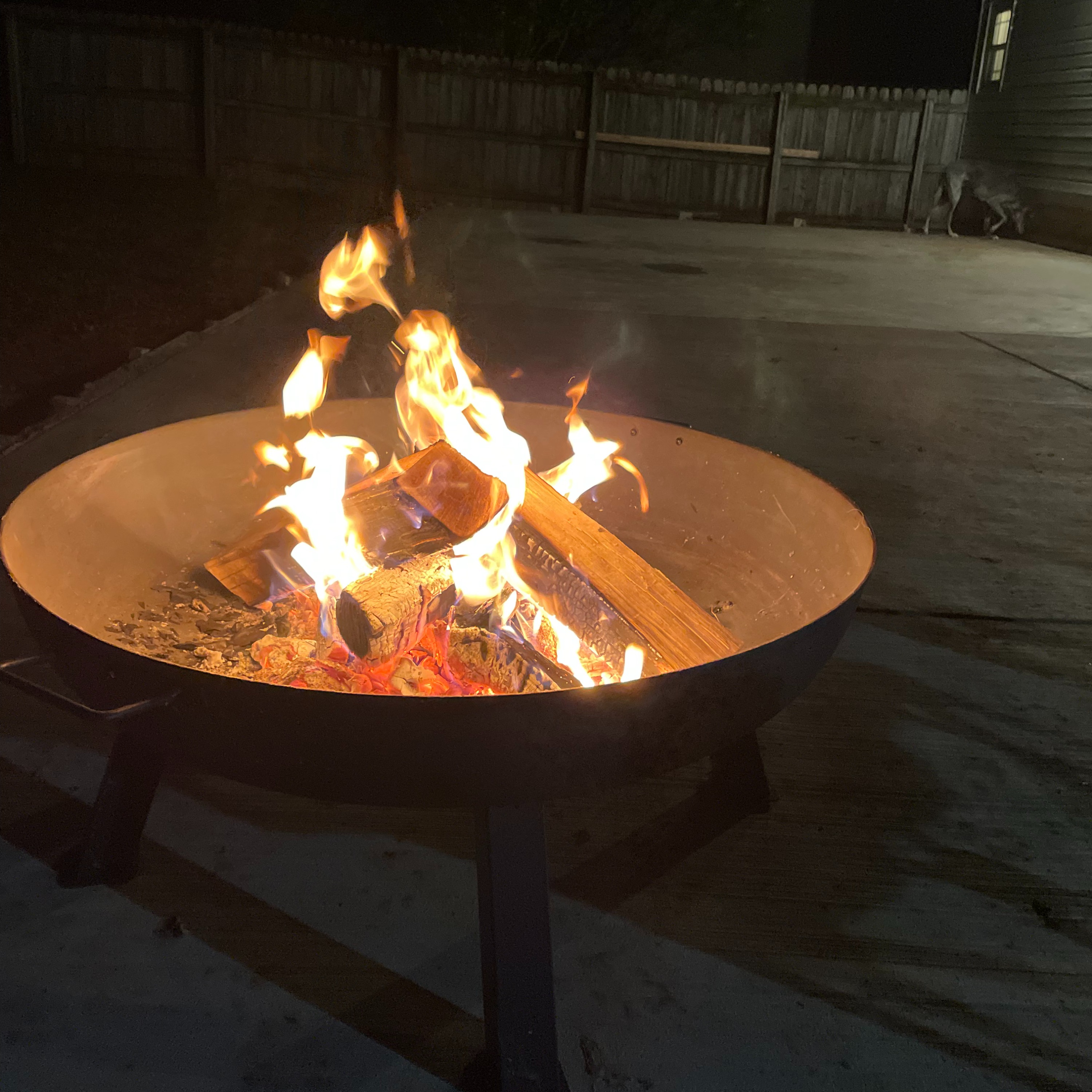 Week 10 in the SEC brought all the drama! Alabama survives South Carolina in a nail-biter. Week 10 in the SEC brought all the drama! Alabama survives South Carolina in a nail-biter.