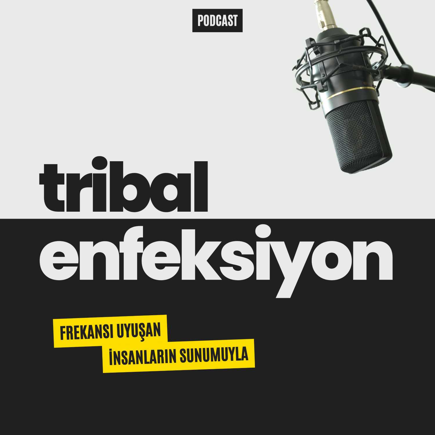 Tribal Enfeksiyon podcast artwork