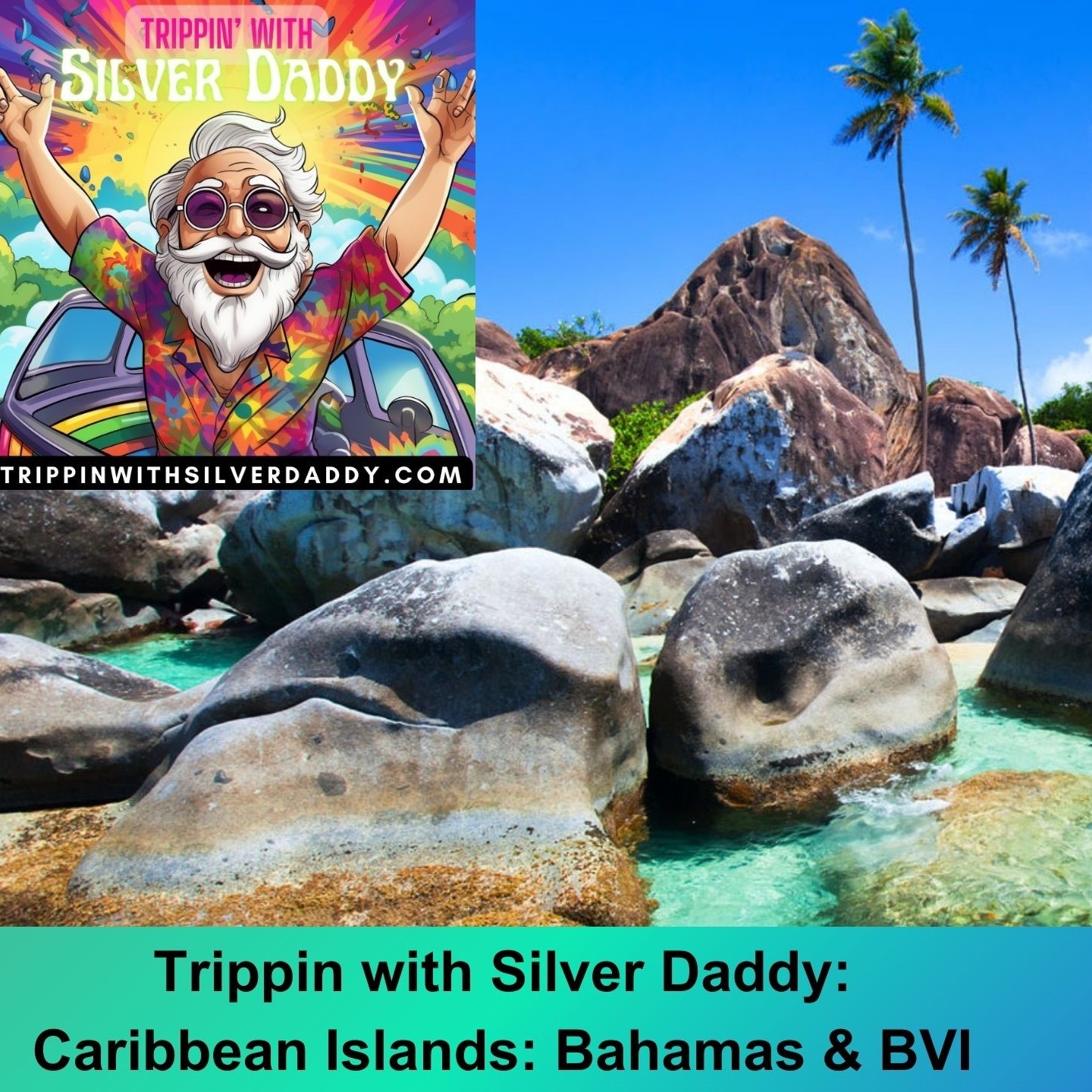 Trippin With Silver Daddy