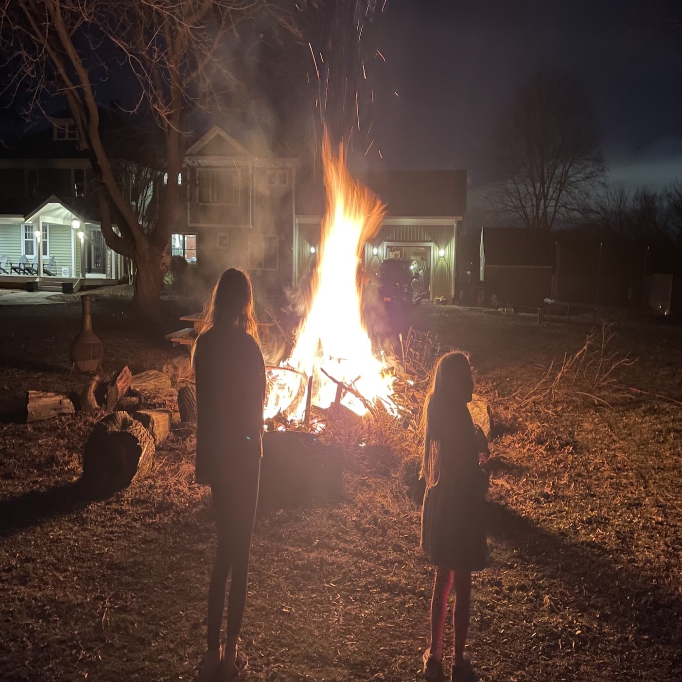 Trivia with Dad(#71): State Flowers, Presidents, Fortnite, Stars episode artwork