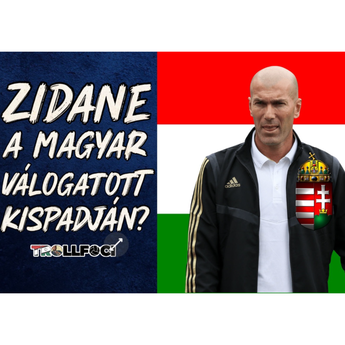TrollFoci