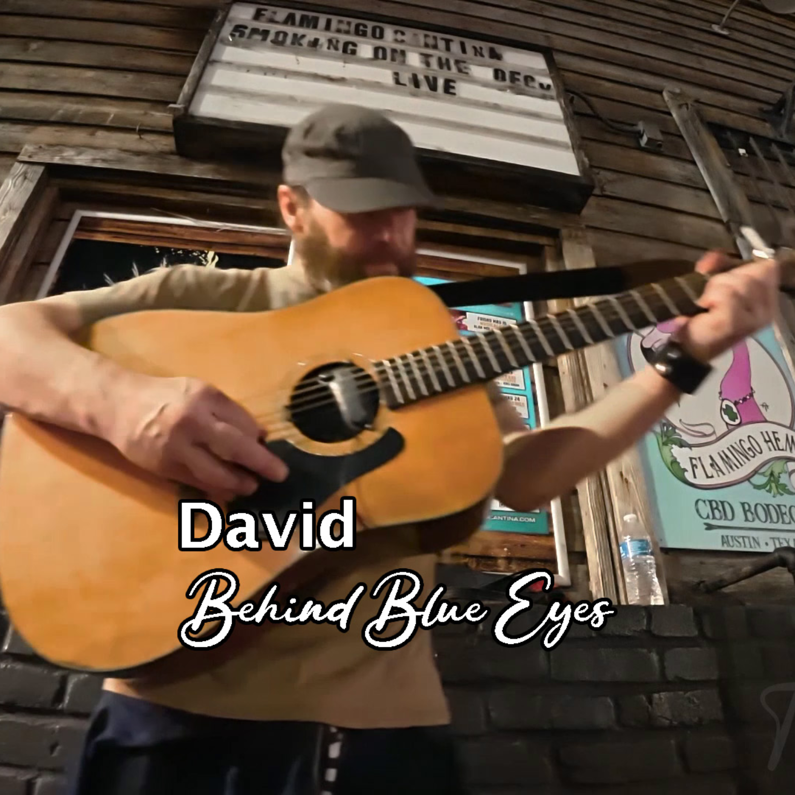 Troubadour Collective\'s Song of the Day