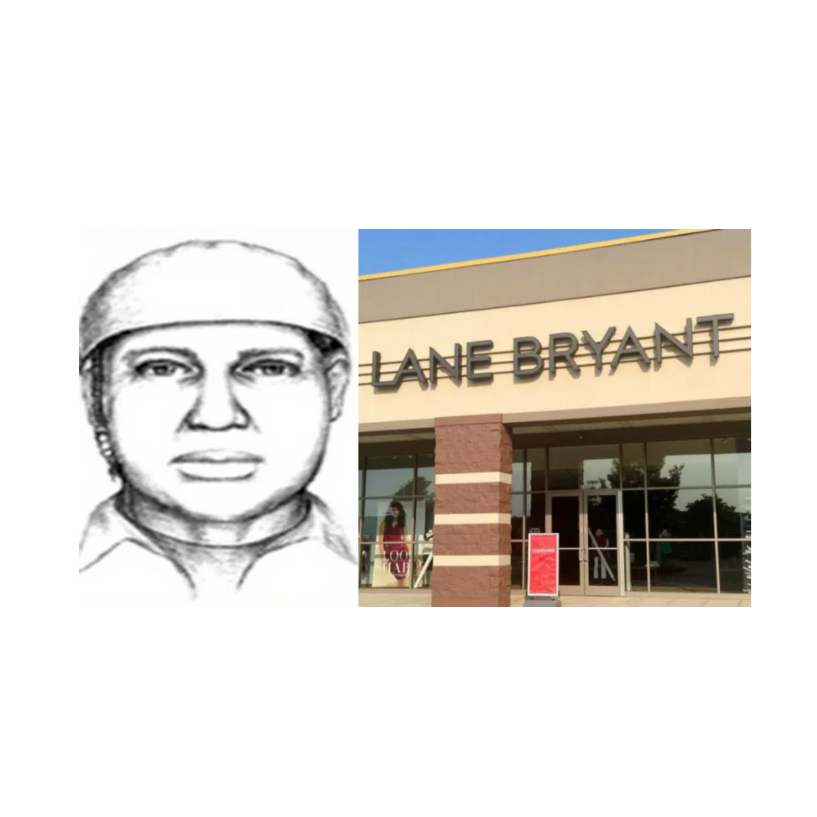 The Lane Bryant Murders