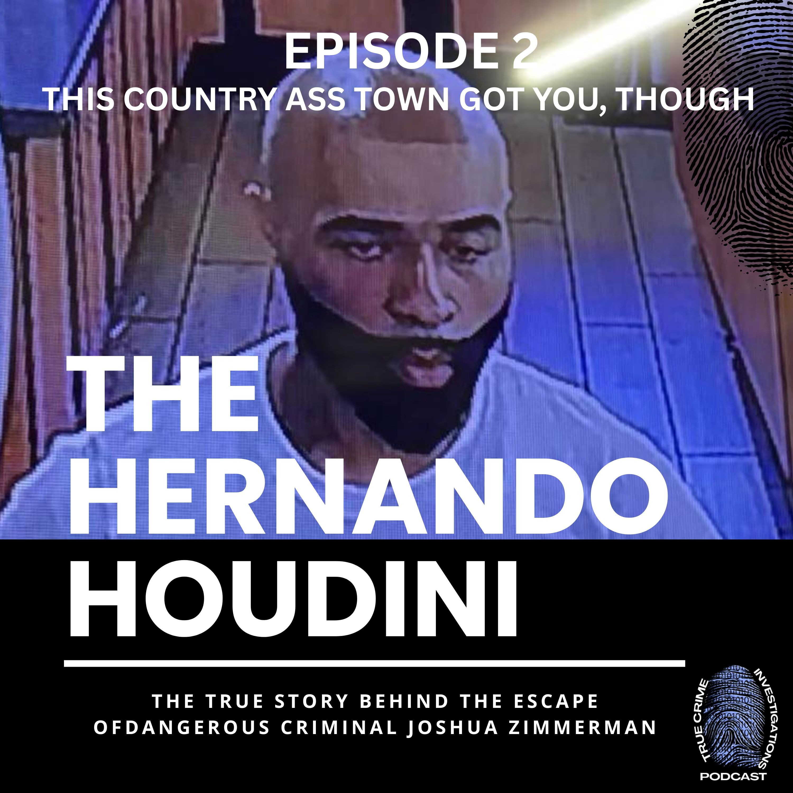 True Crime Investigations