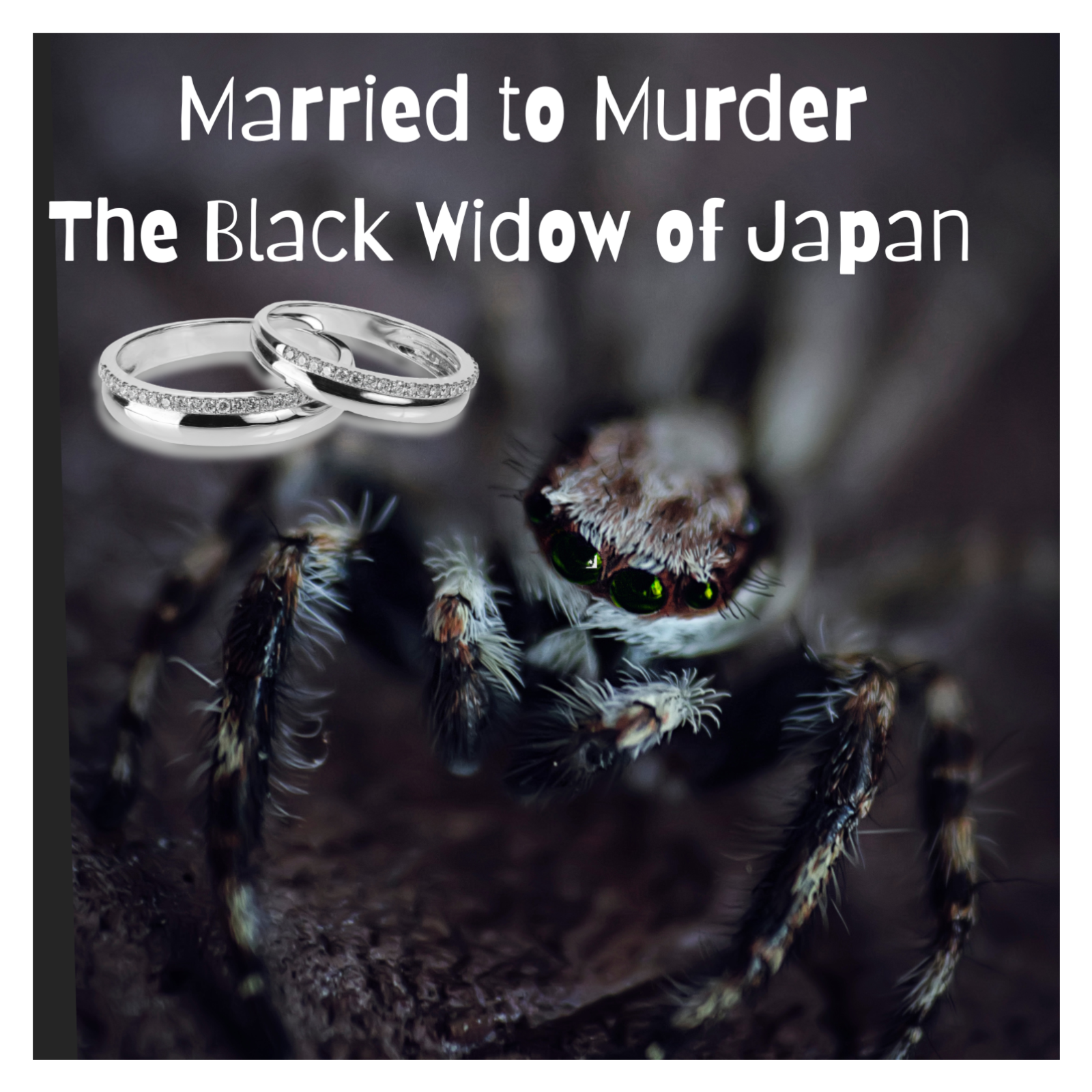 Married to Murder: The Black Widow of Japan 🕷️💍