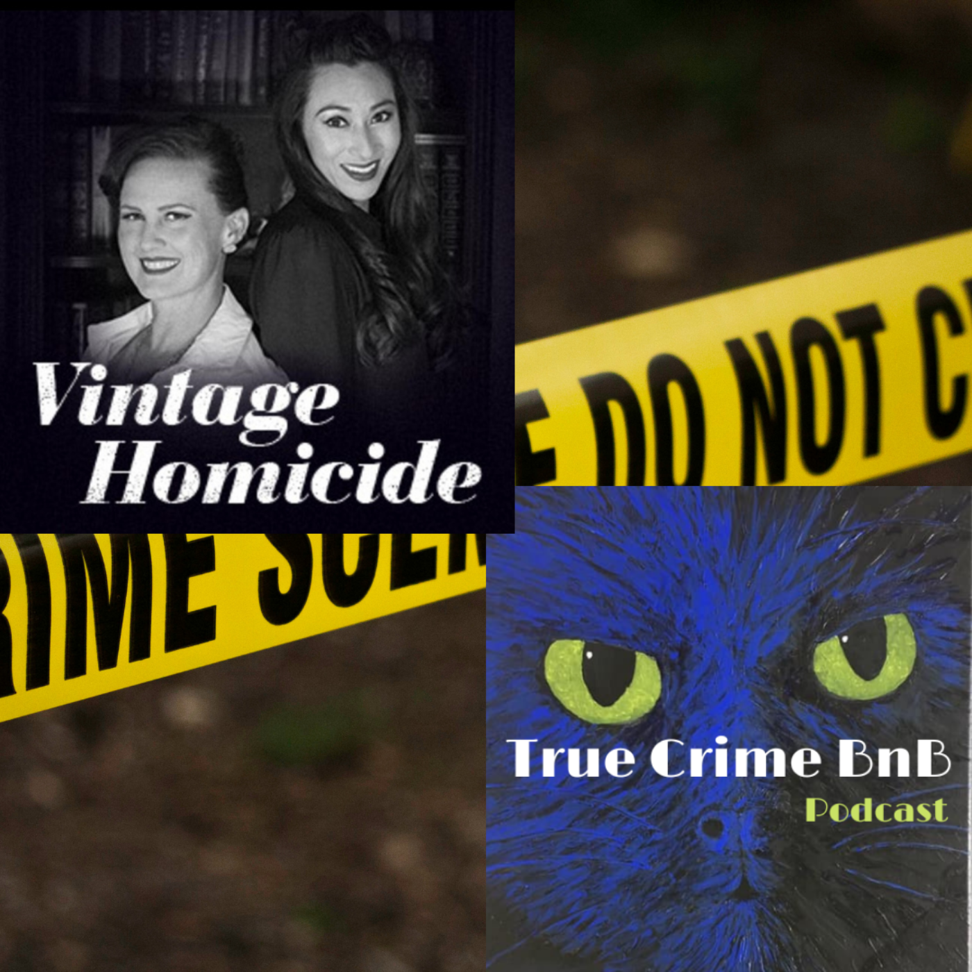 True Crime BnB