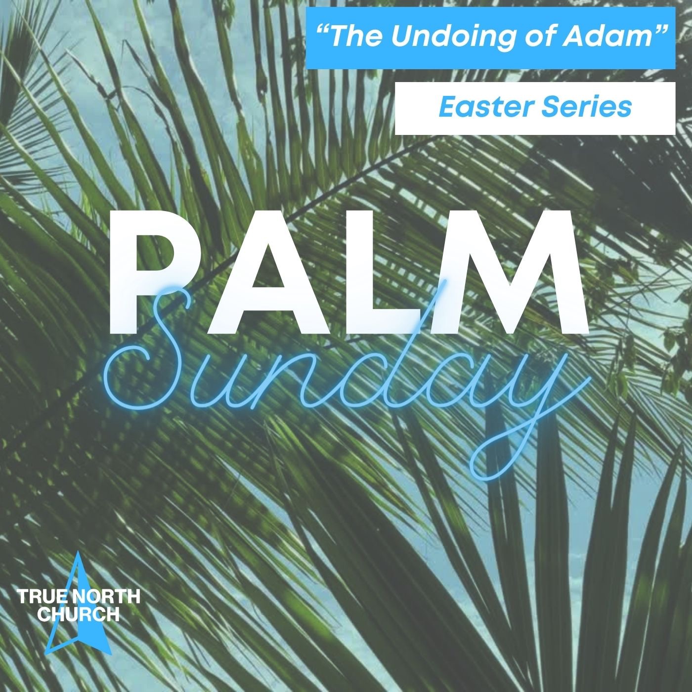 Palm Sunday - "The Undoing of Adam" Week 4 / Easter Series 2024