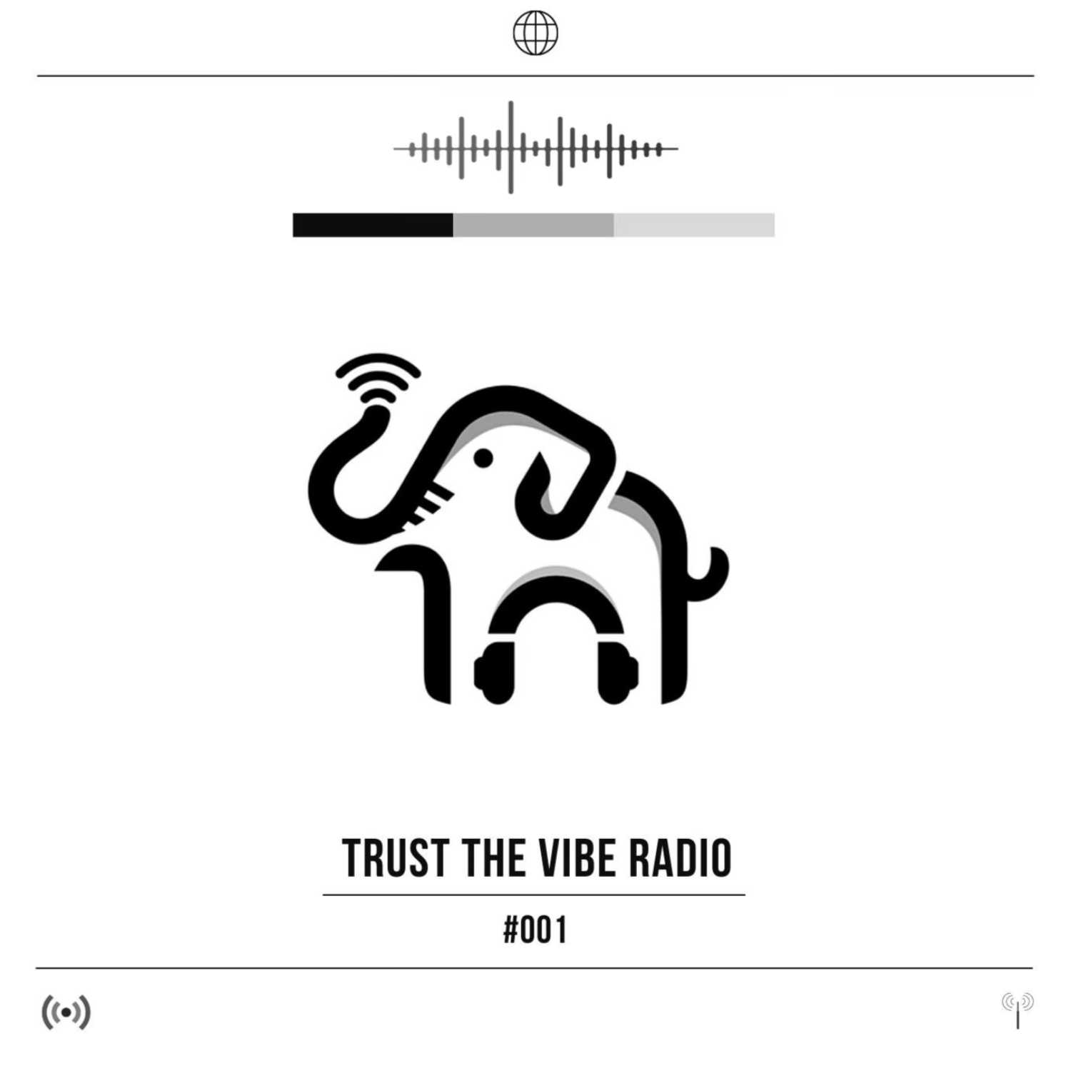 TRUST THE VIBE RADIO
