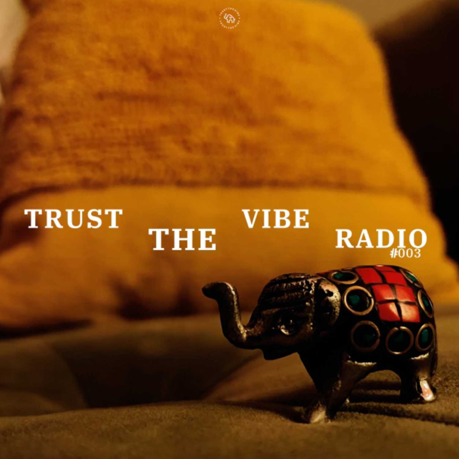 TRUST THE VIBE RADIO