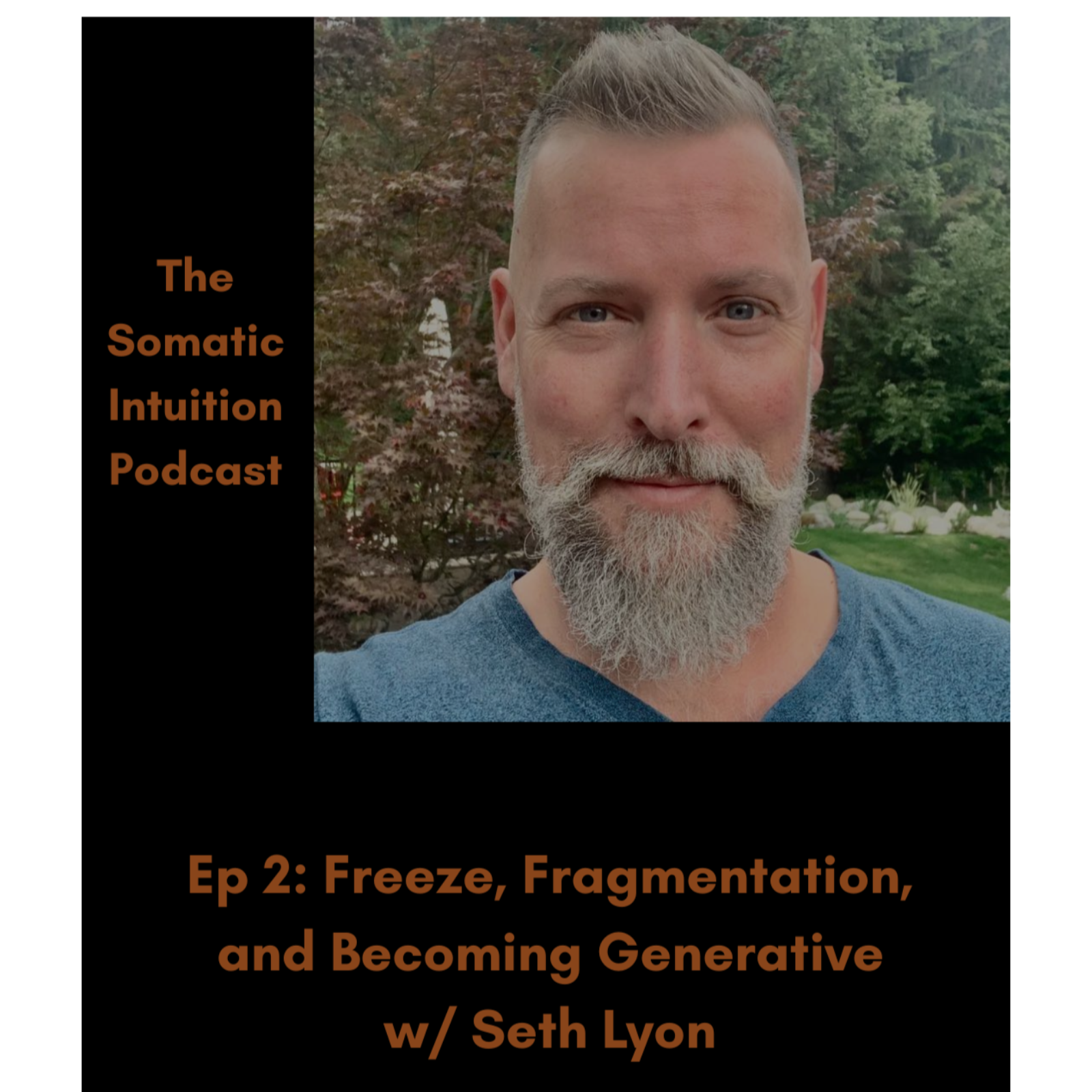 Freeze, Fragmentation, and Becoming Generative w/ Seth Lyon episode artwork