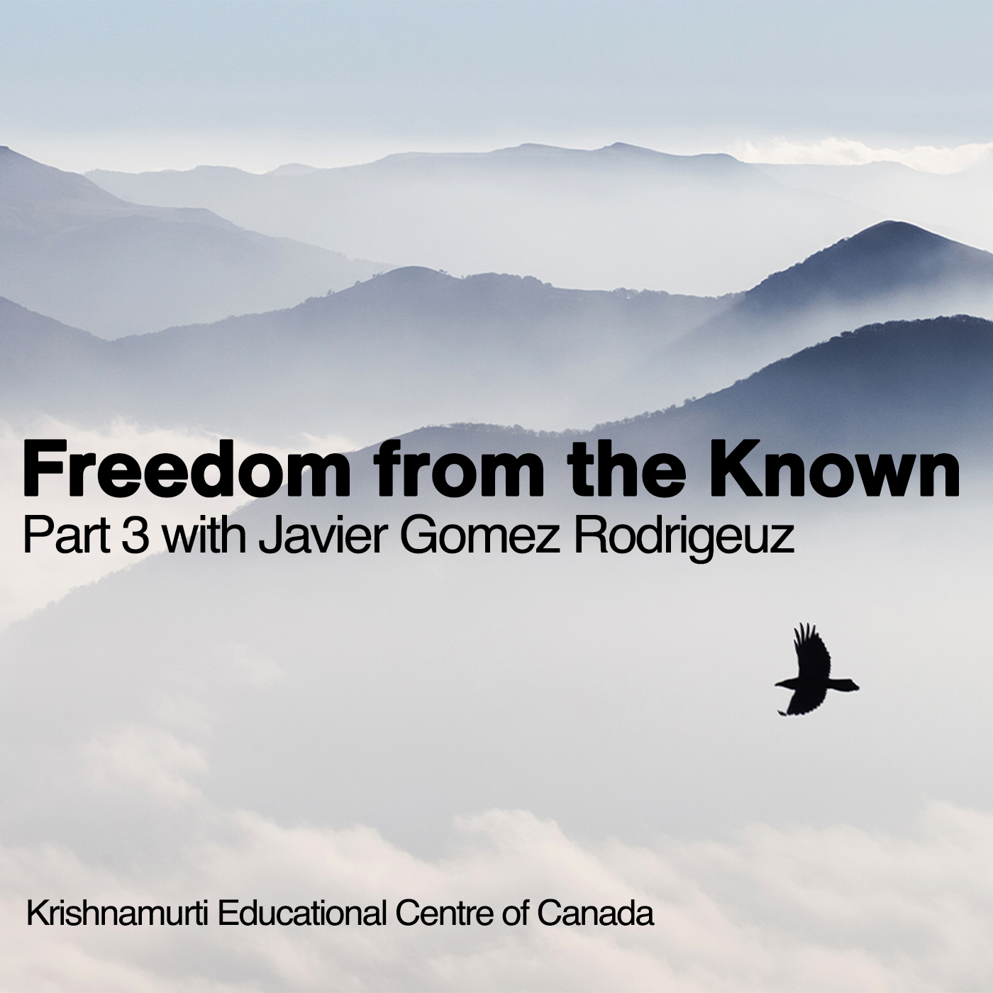 Freedom from the Known: Part 3 with Javier Gomez Rodriguez episode artwork