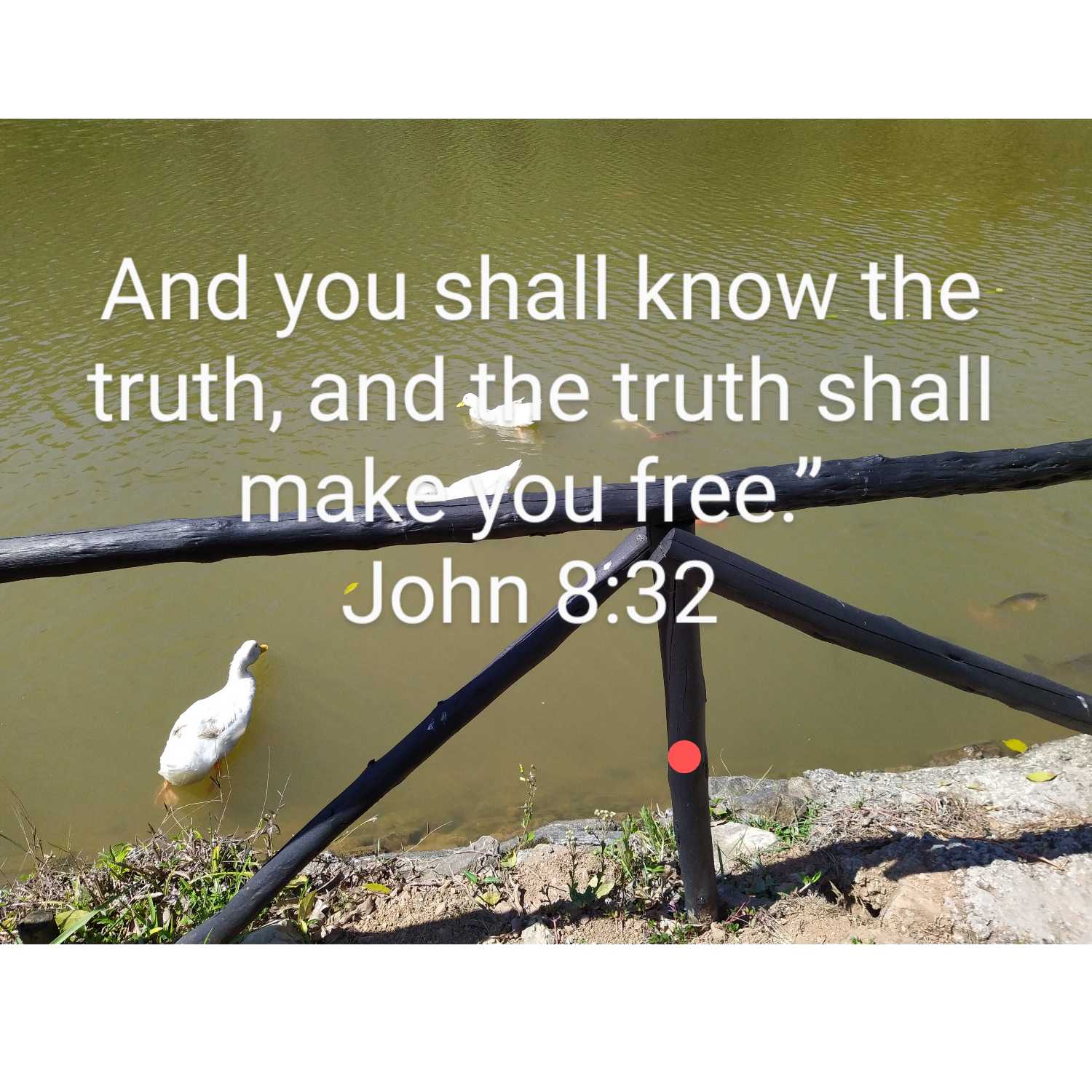 Truth 4 the Week 