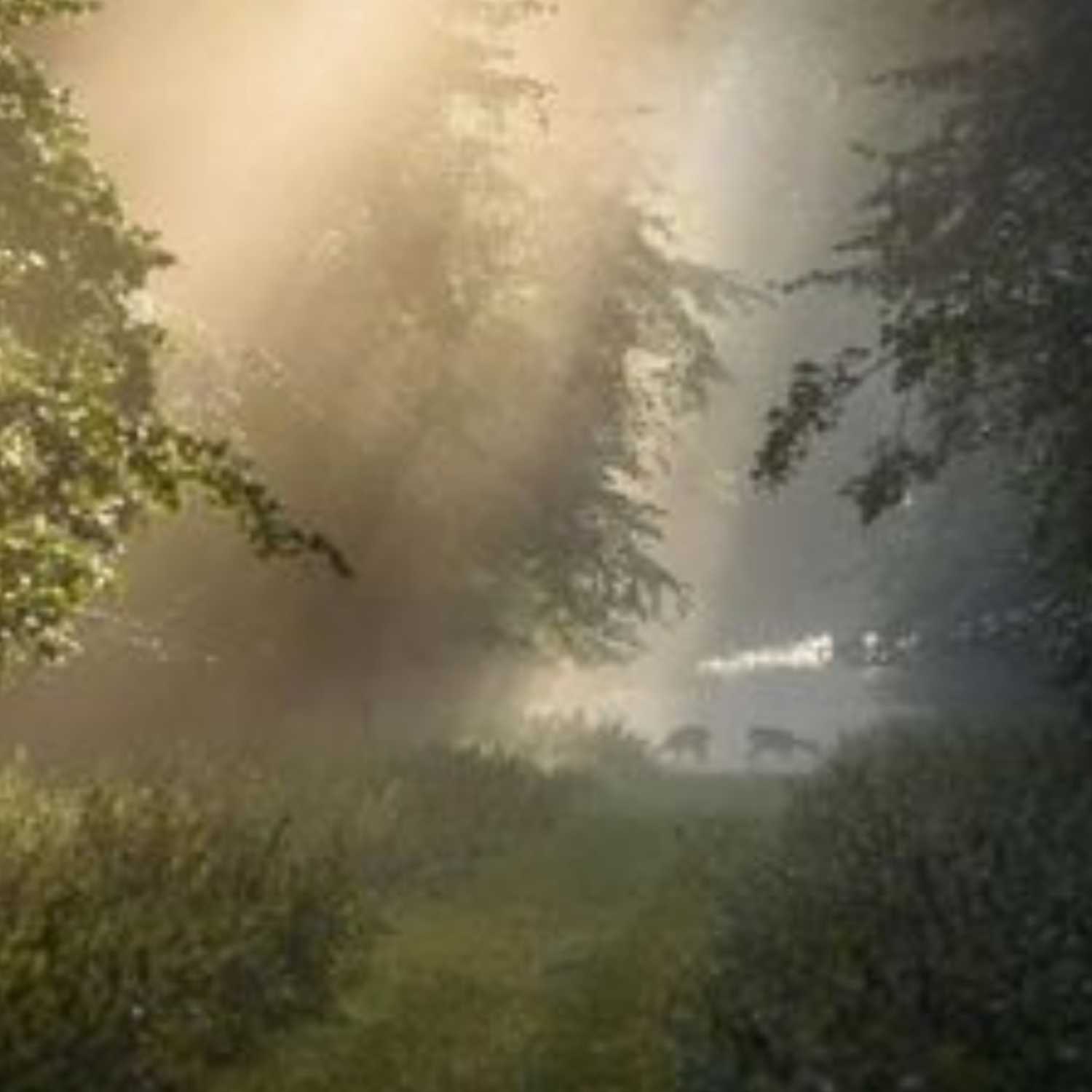 titty susan cover art