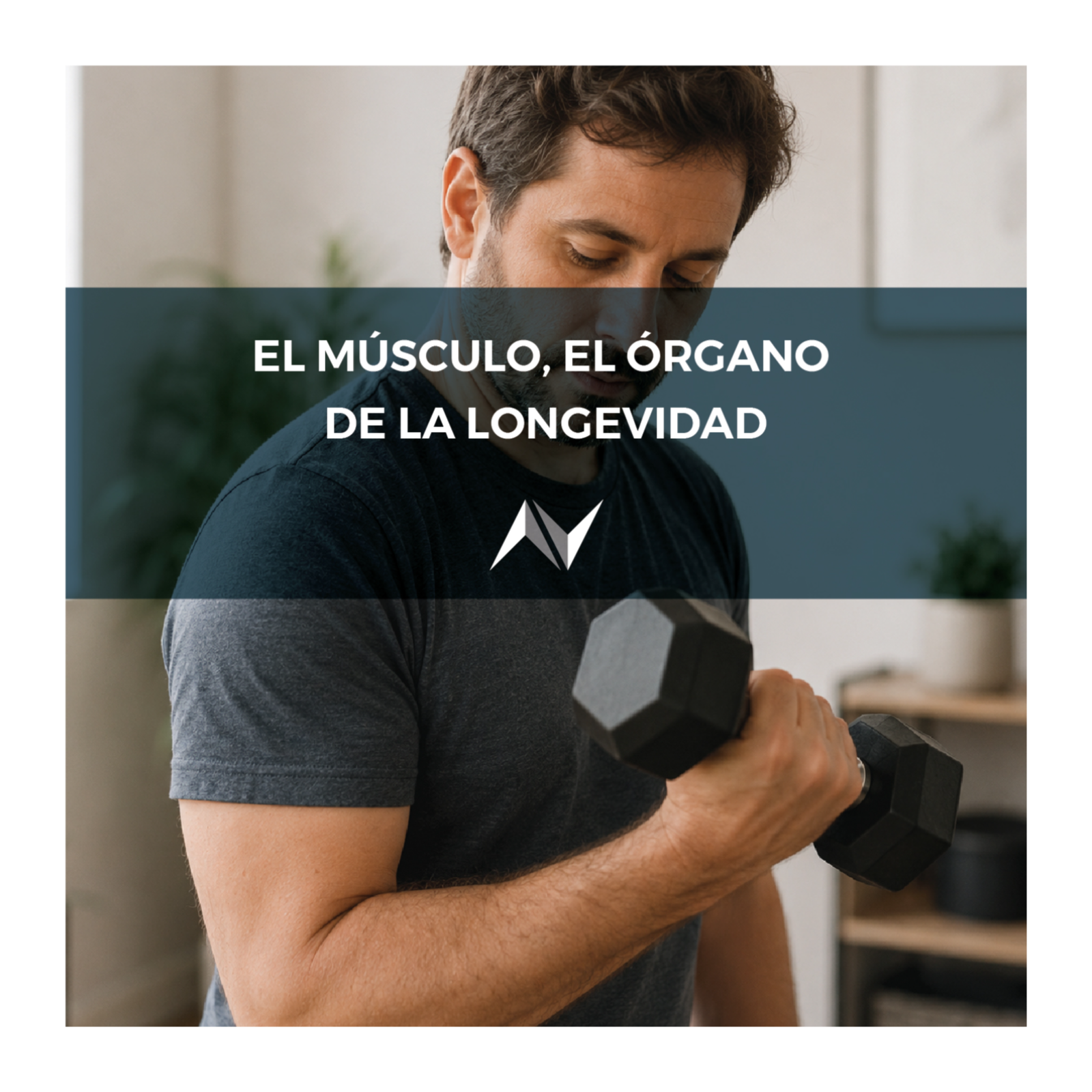 El músculo, el órgano de la longevidad episode artwork