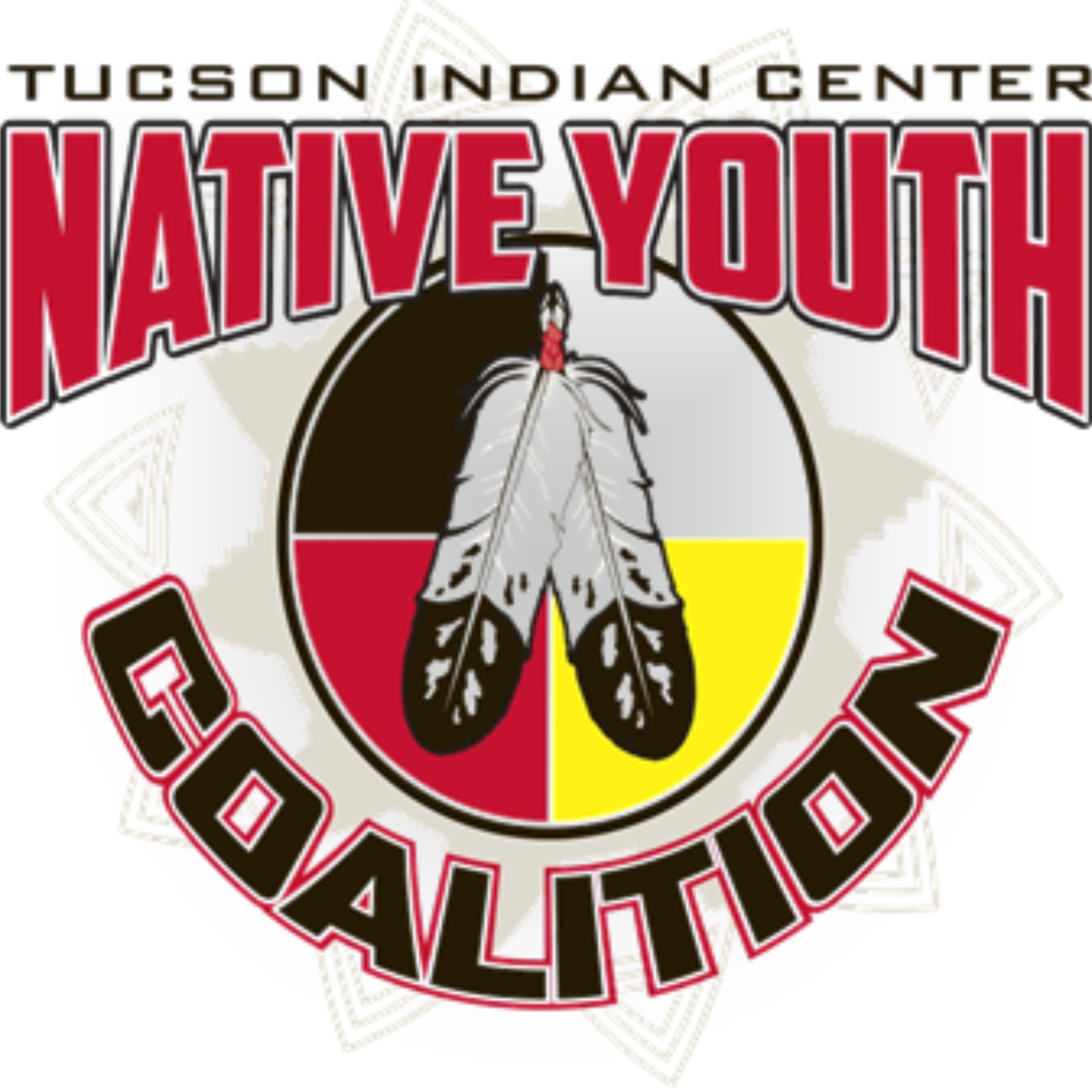 TIC Talks Ep.2: Native Youth Coalition  episode artwork