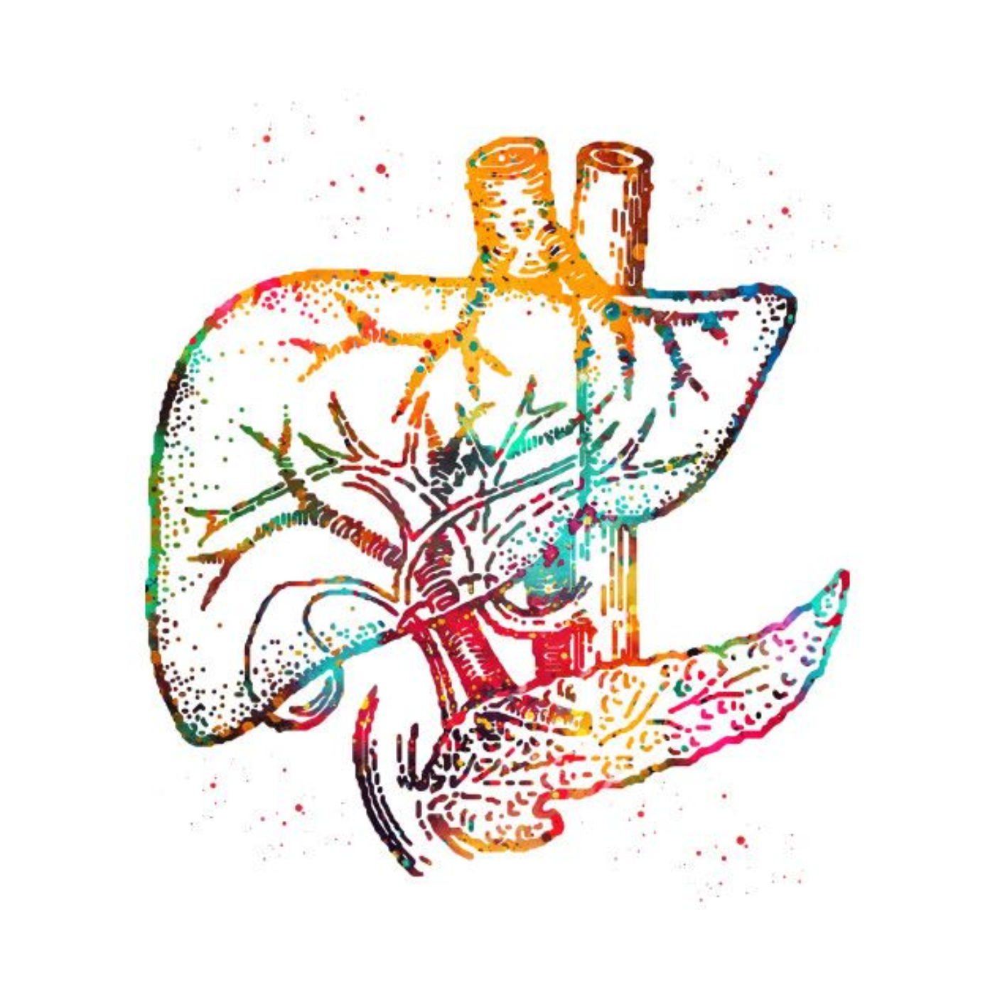 Tula Ananda- Whole Life Living