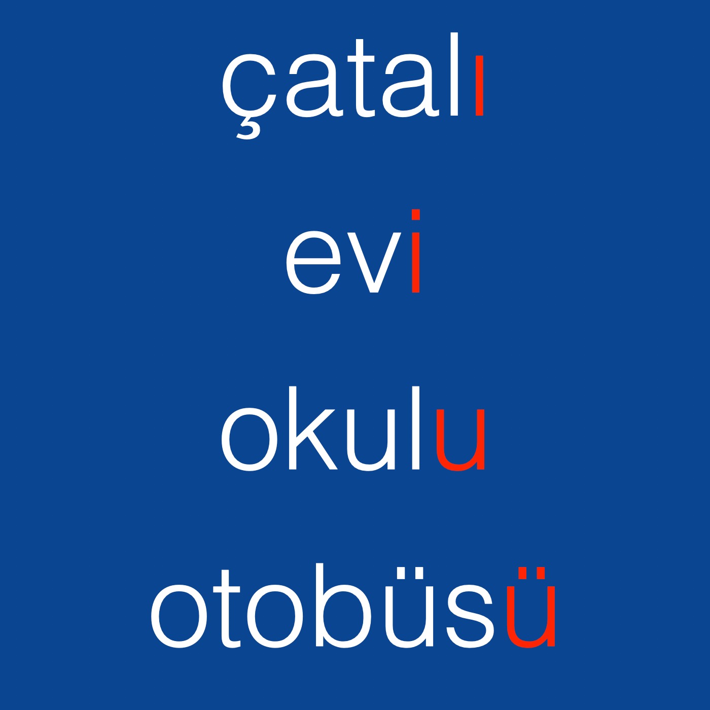 Turkish Grammar : Accusative Case of the Nouns episode artwork