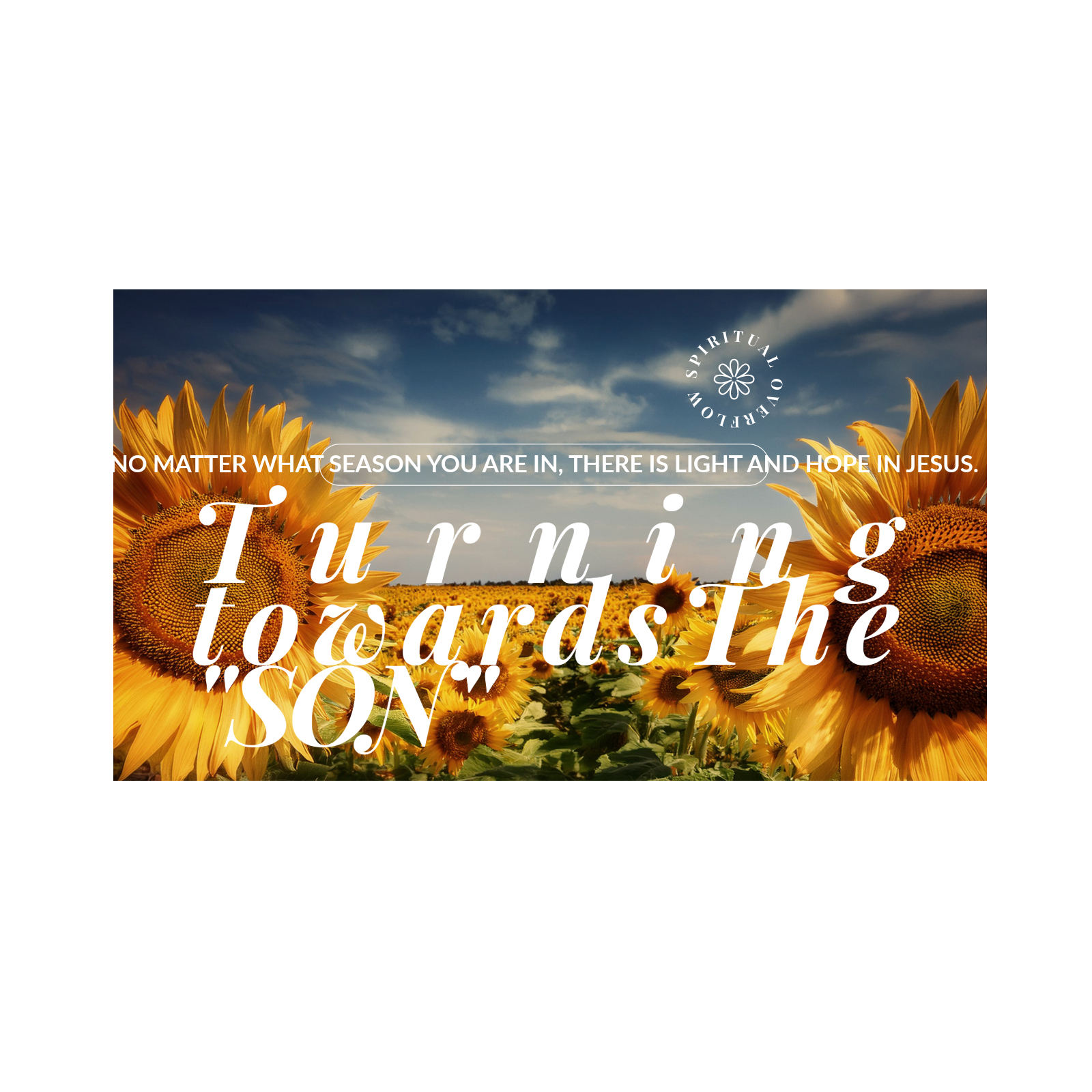 Turning towards The “ Son”. The Sunflowers Reminder to Keep Seeking Jesus on a Daily Basis.