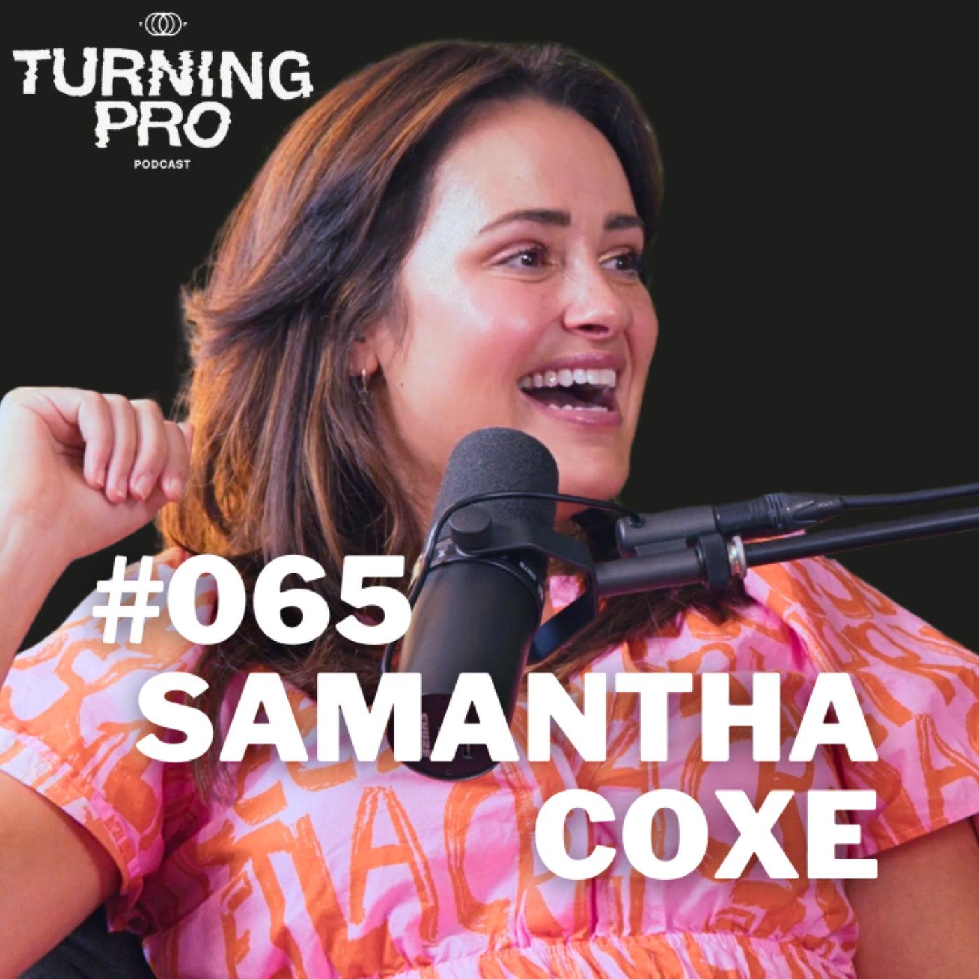 The Turning Pro Podcast