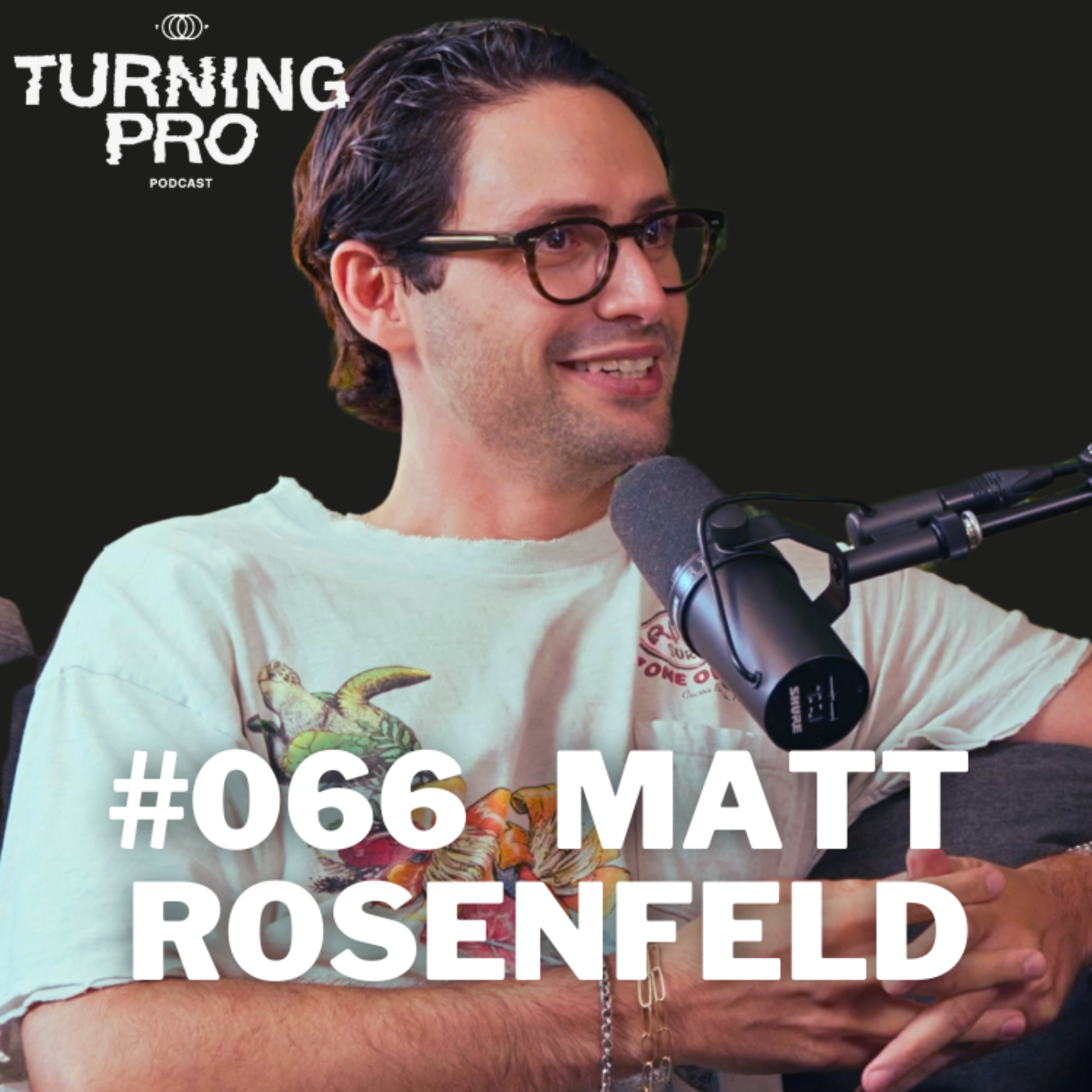 The Turning Pro Podcast