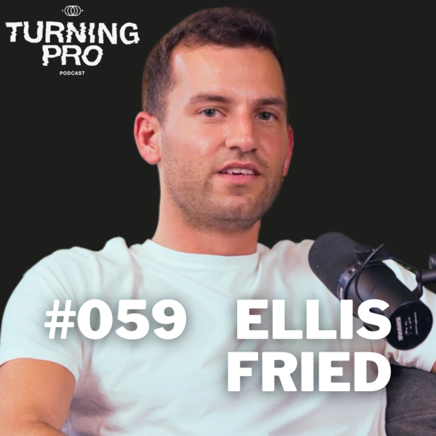 The Turning Pro Podcast