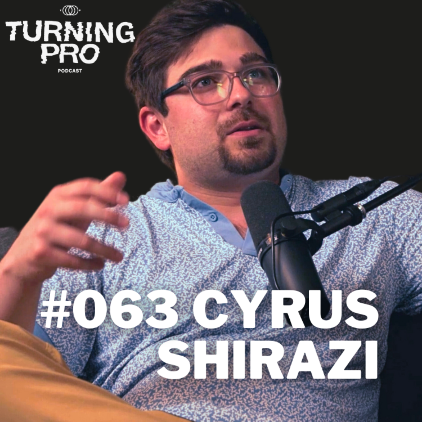 The Turning Pro Podcast