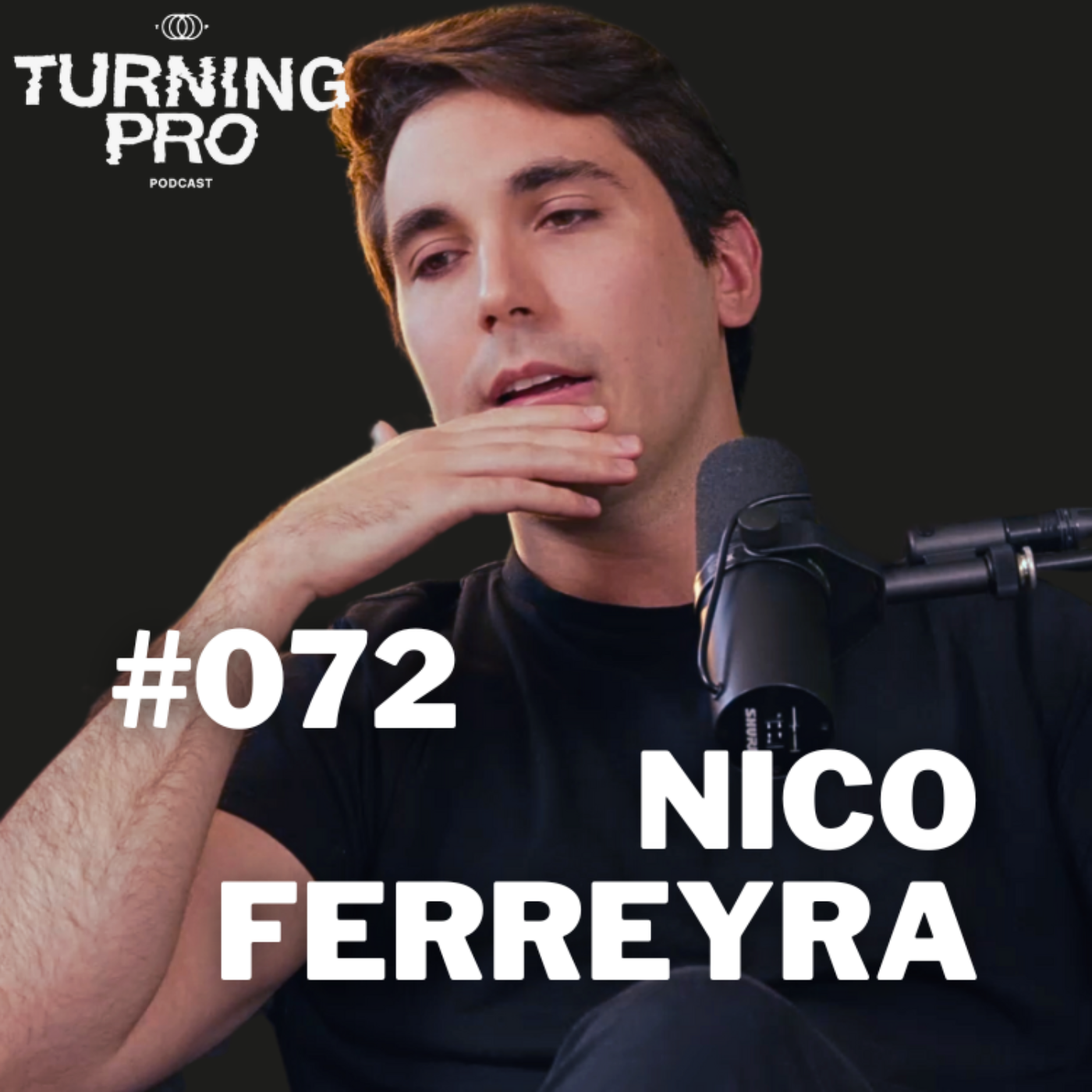 The Turning Pro Podcast