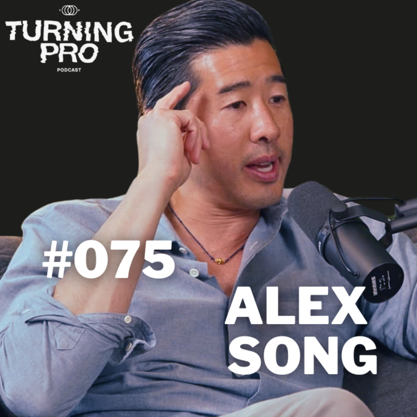 The Turning Pro Podcast