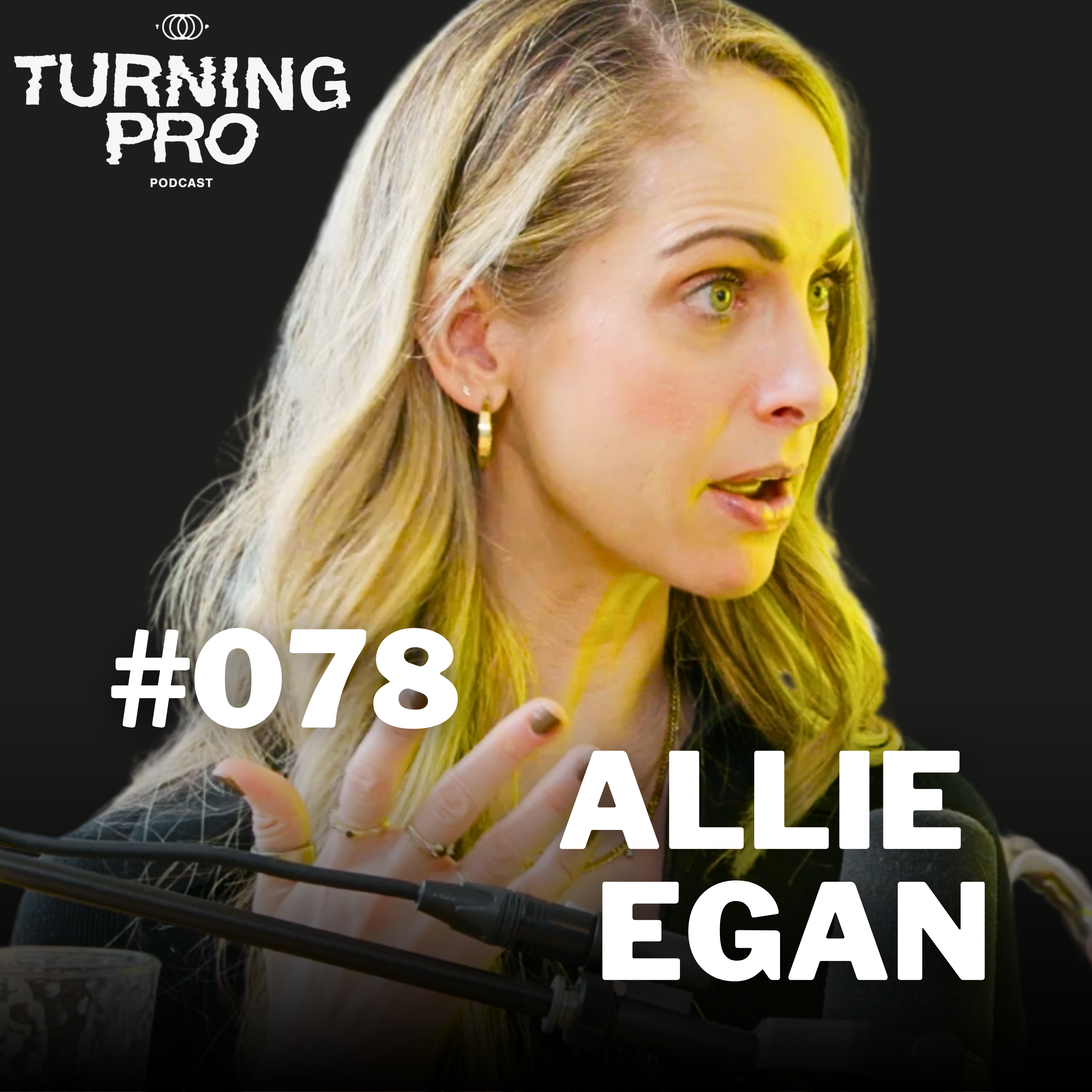 The Turning Pro Podcast