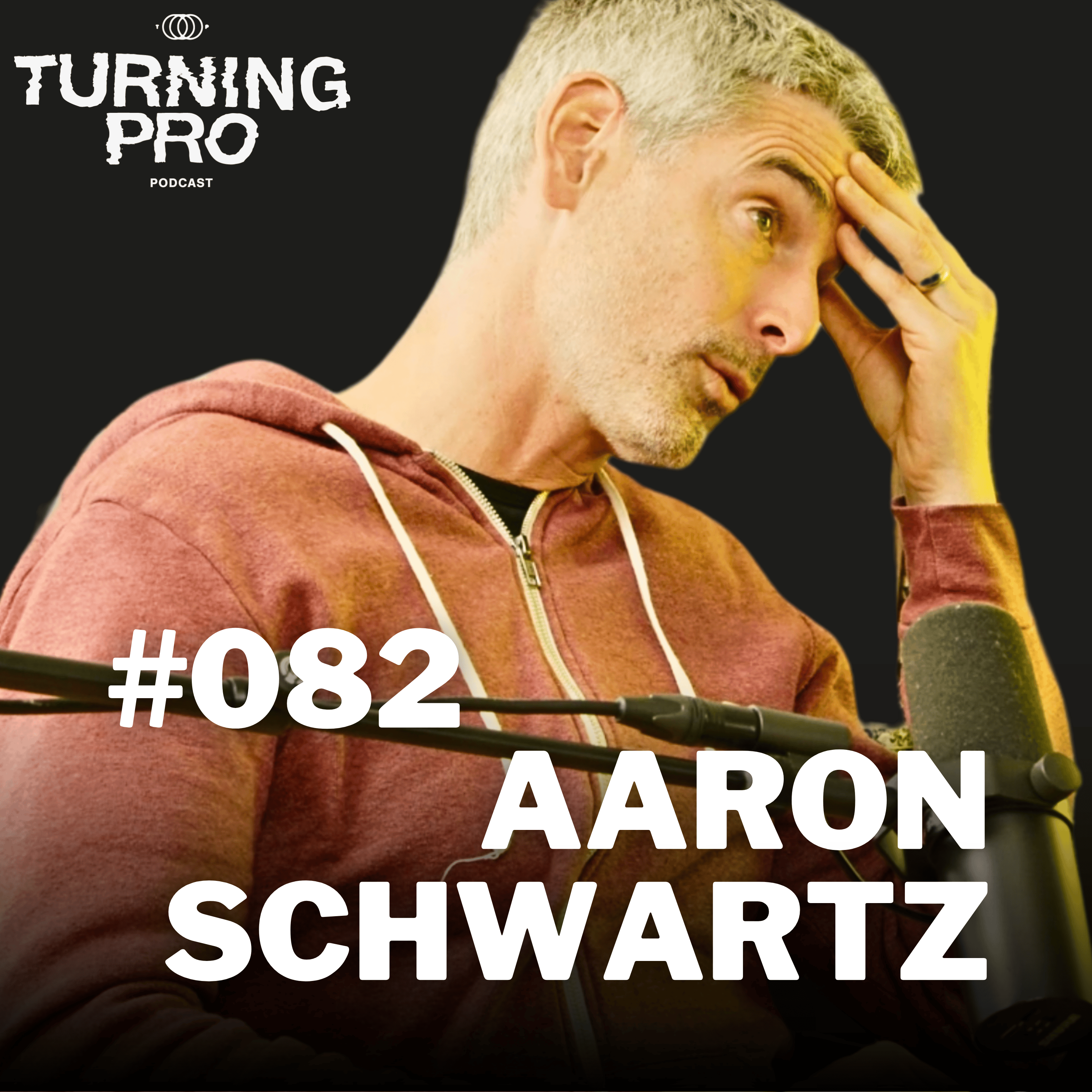 The Turning Pro Podcast