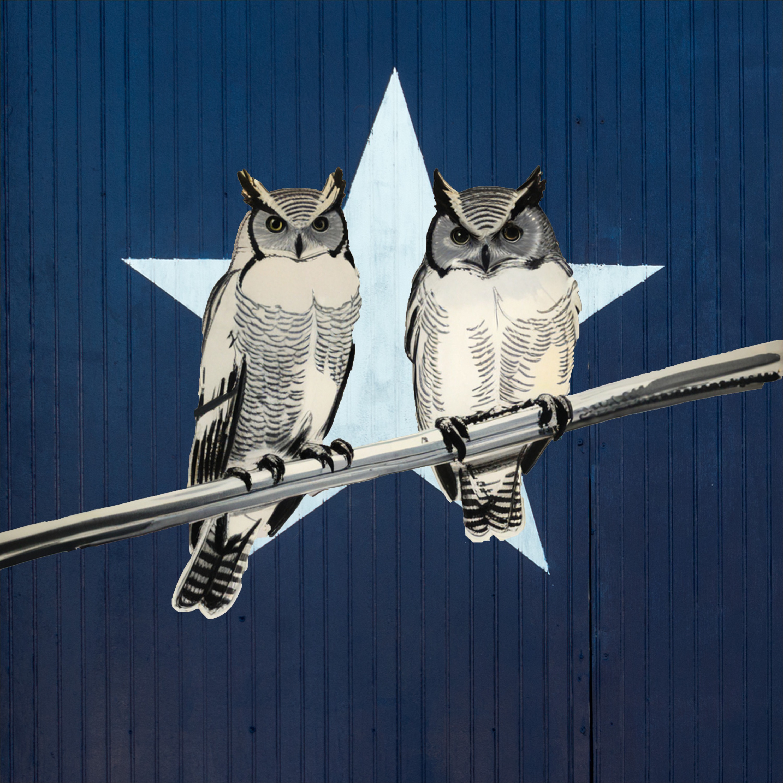 The Two Owls Podcast