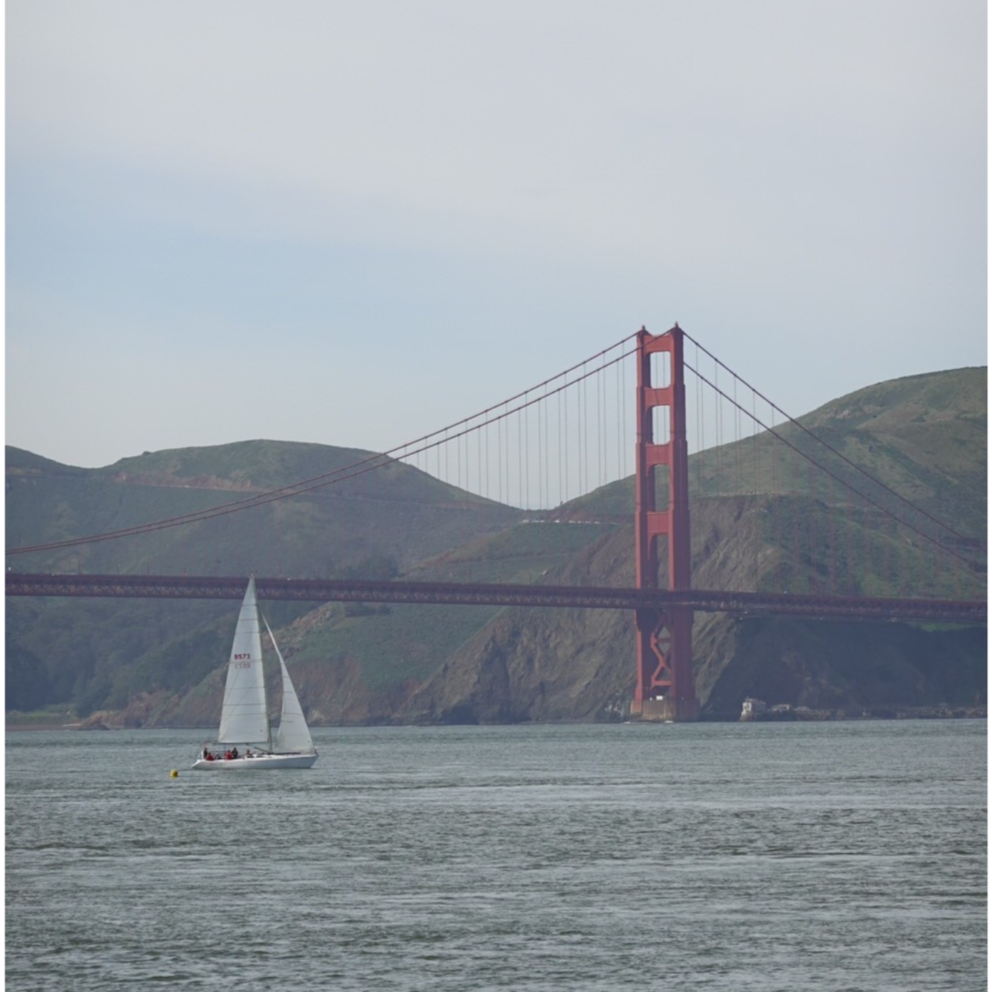 Bay Area Squad- A snippet for the 7 days trip. episode artwork