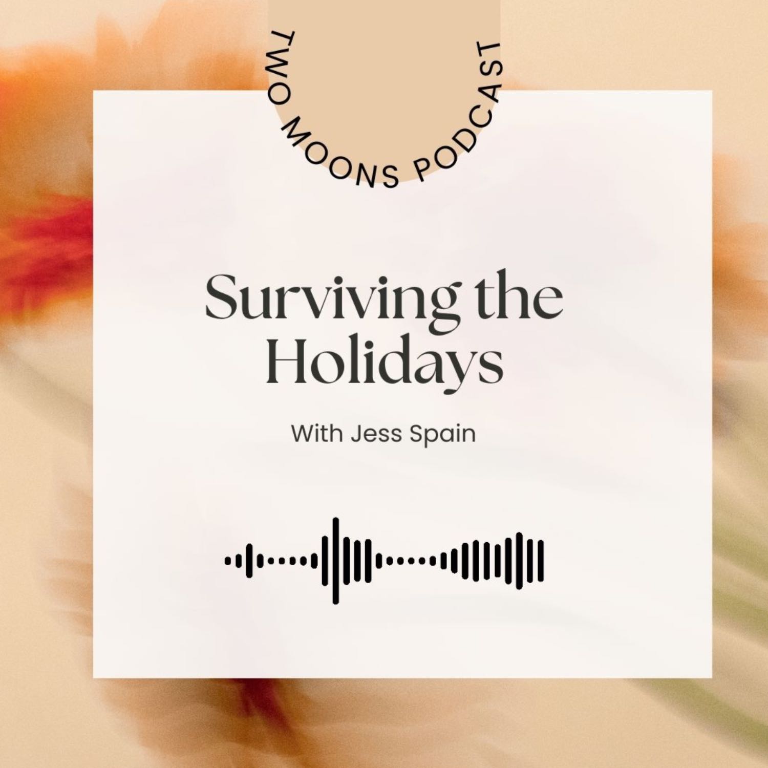 Surviving the holidays 2023 episode artwork
