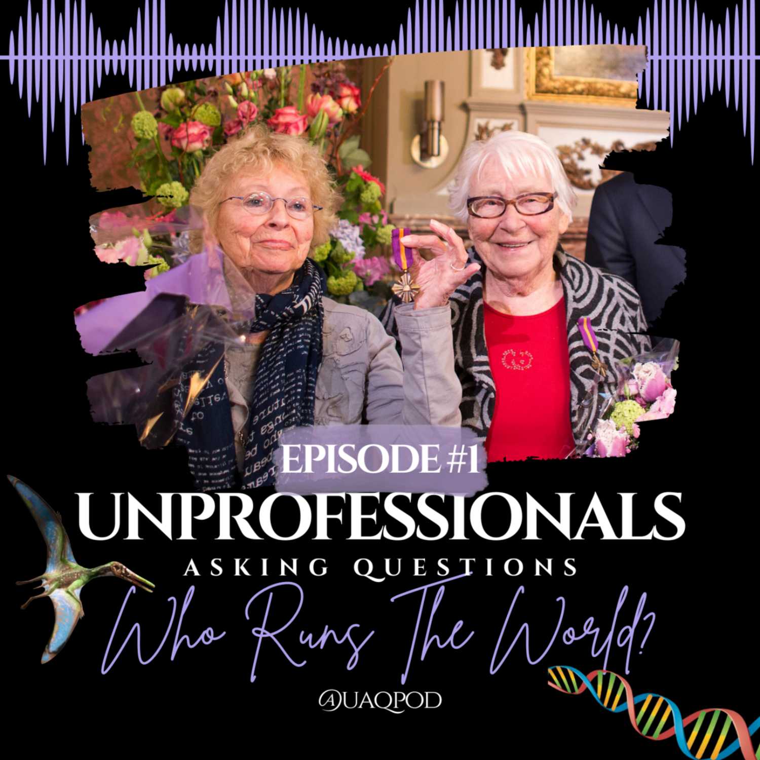 Unprofessionals Asking Questions