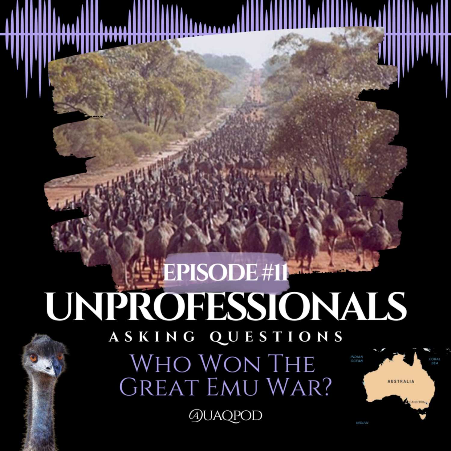 Unprofessionals Asking Questions