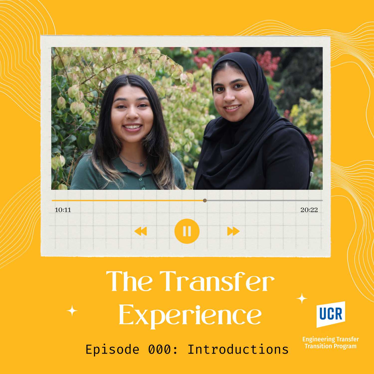 The Transfer Experience