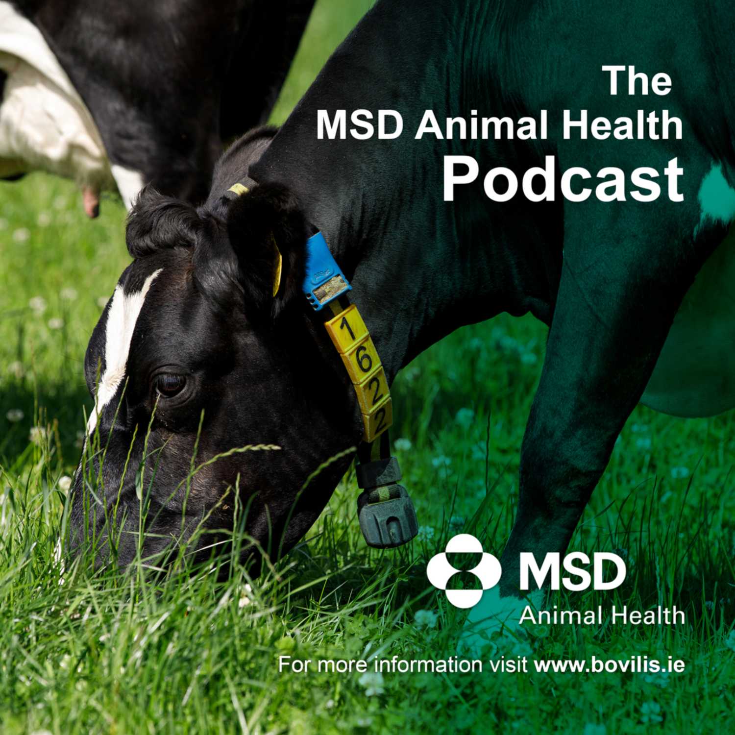 The MSD Animal Health Podcast 