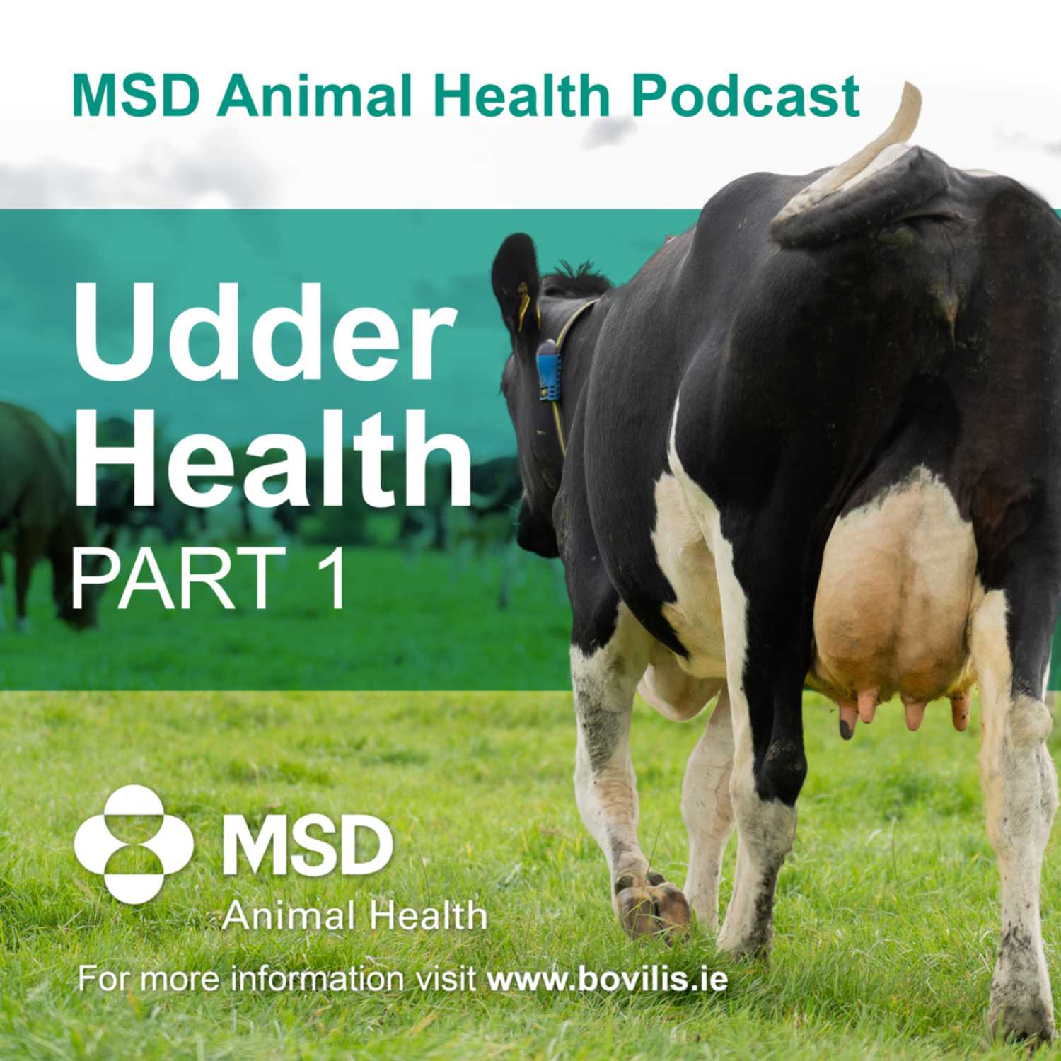 The MSD Animal Health Podcast