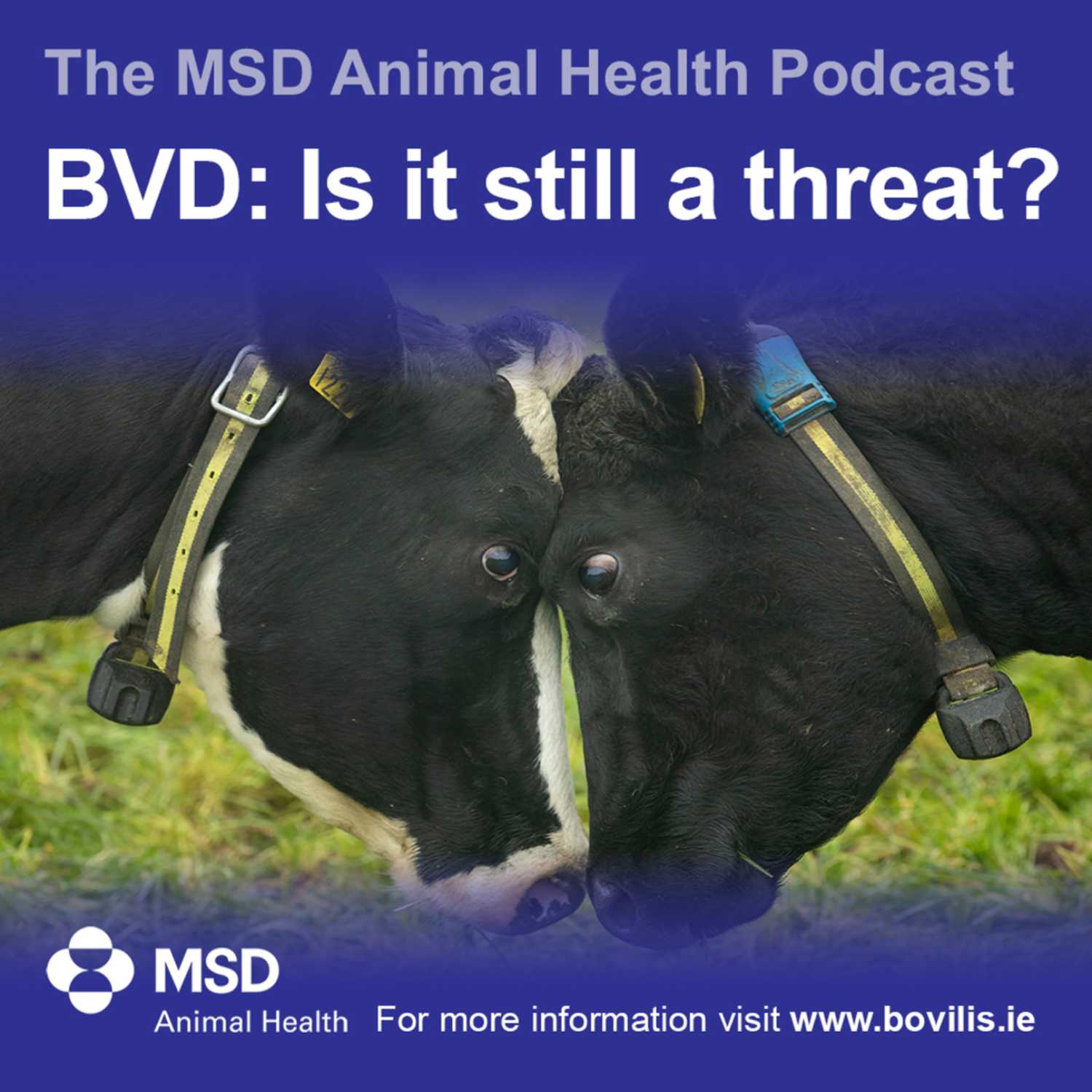 The MSD Animal Health Podcast
