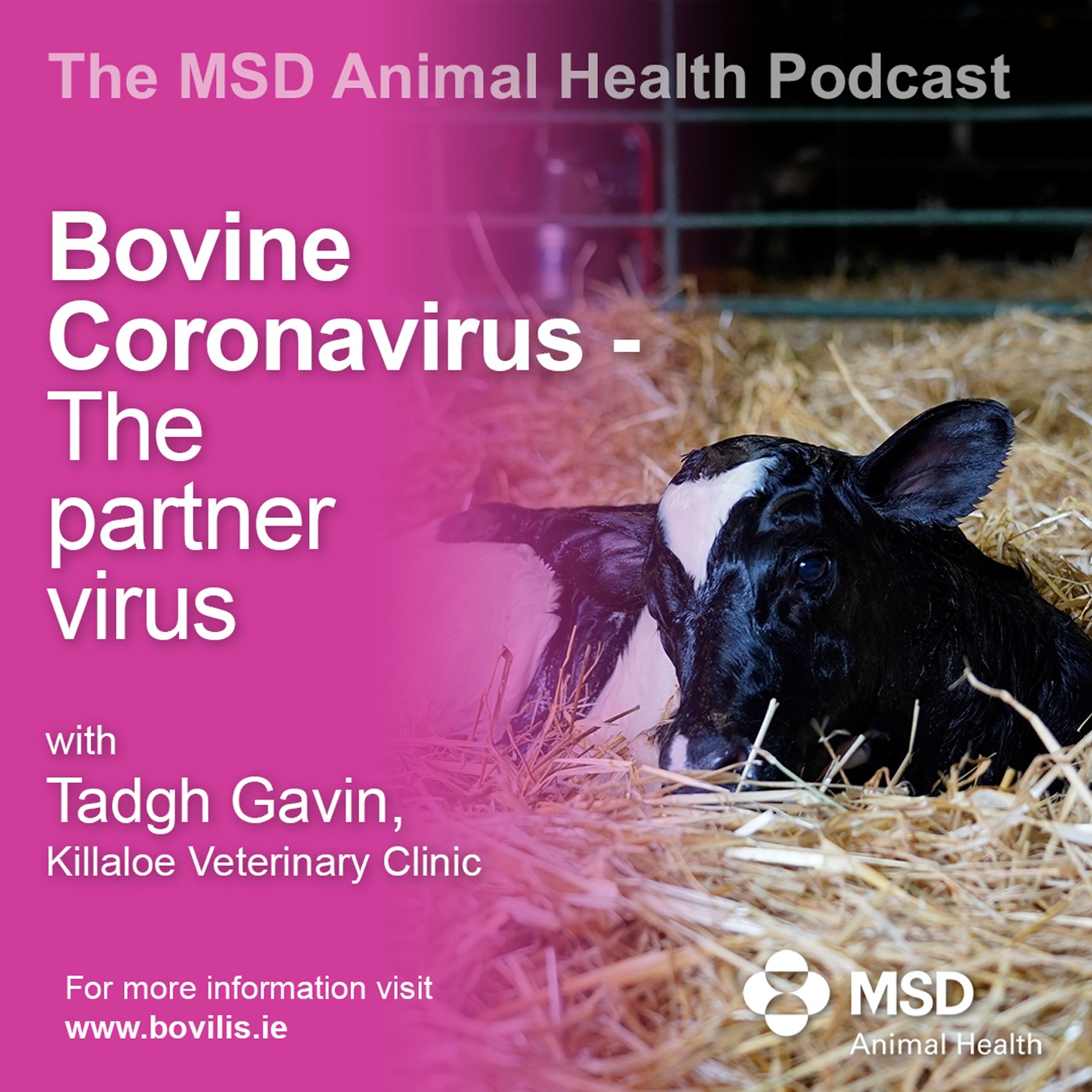The MSD Animal Health Podcast