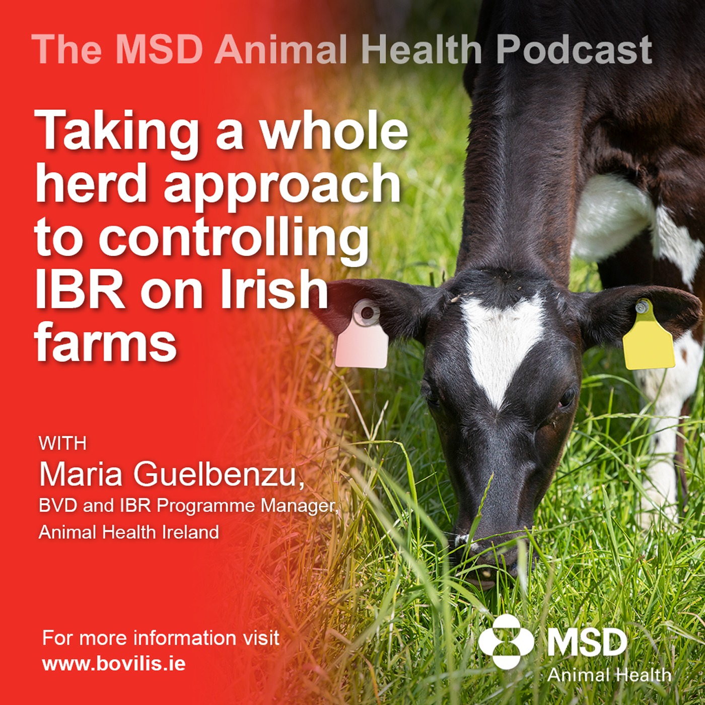 The MSD Animal Health Podcast