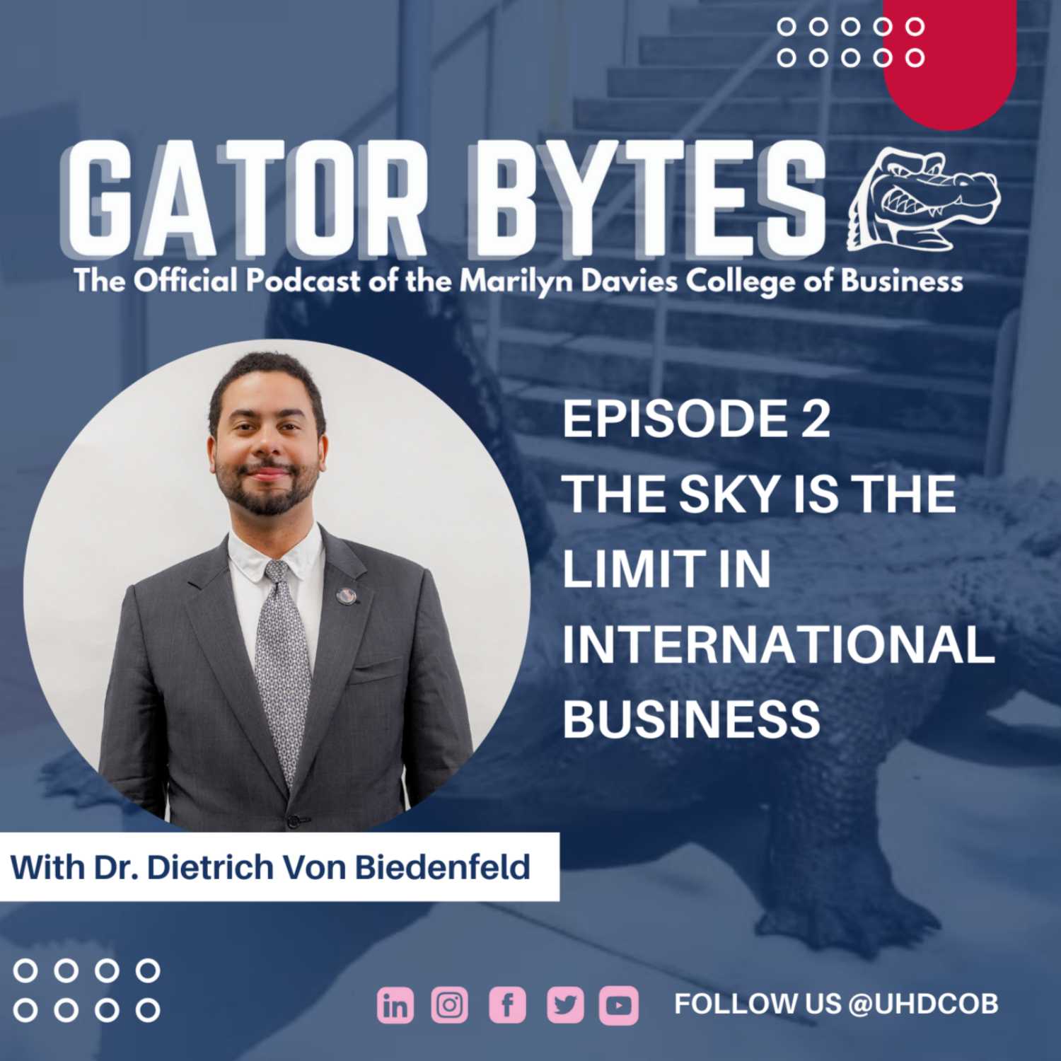 Gator Bytes