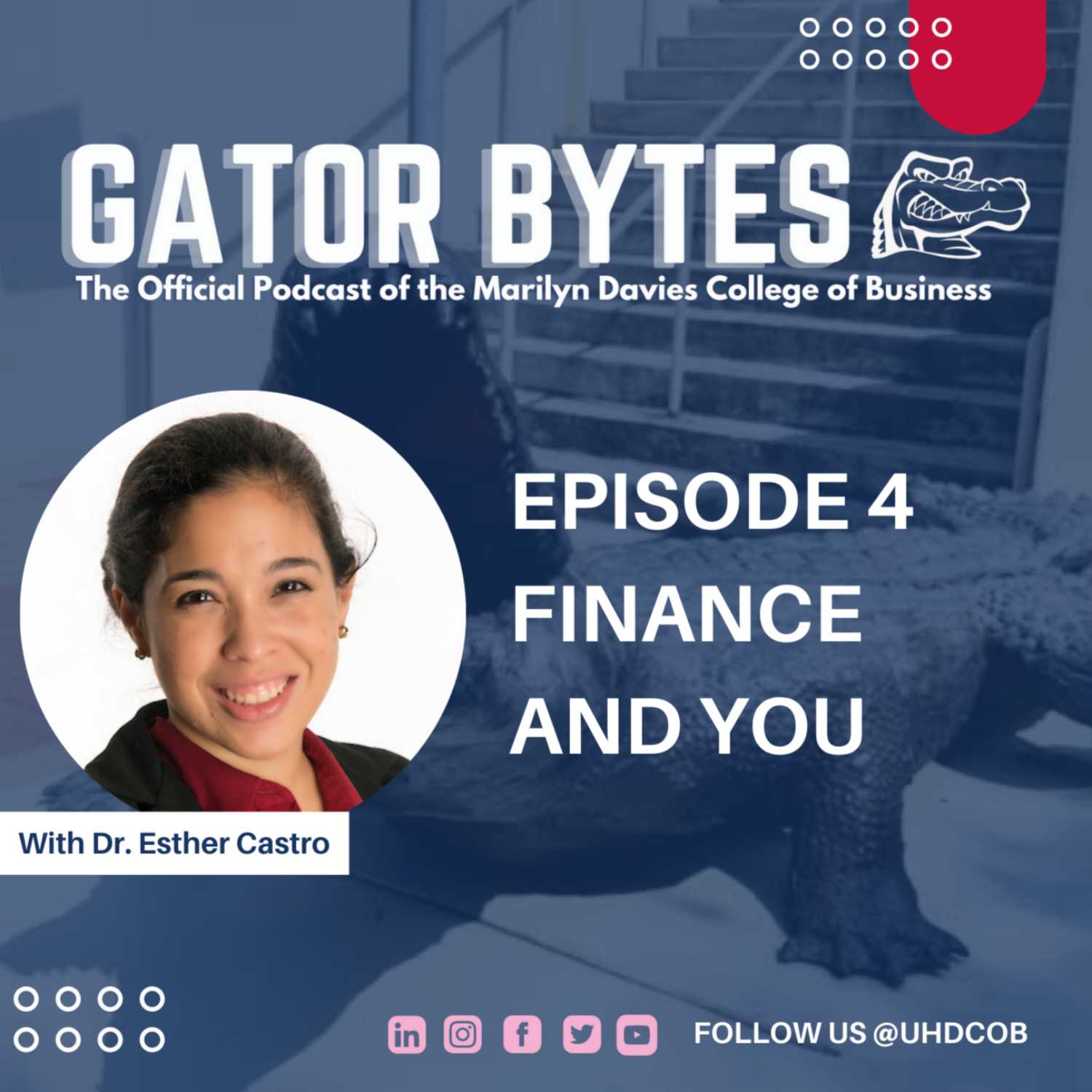 Gator Bytes