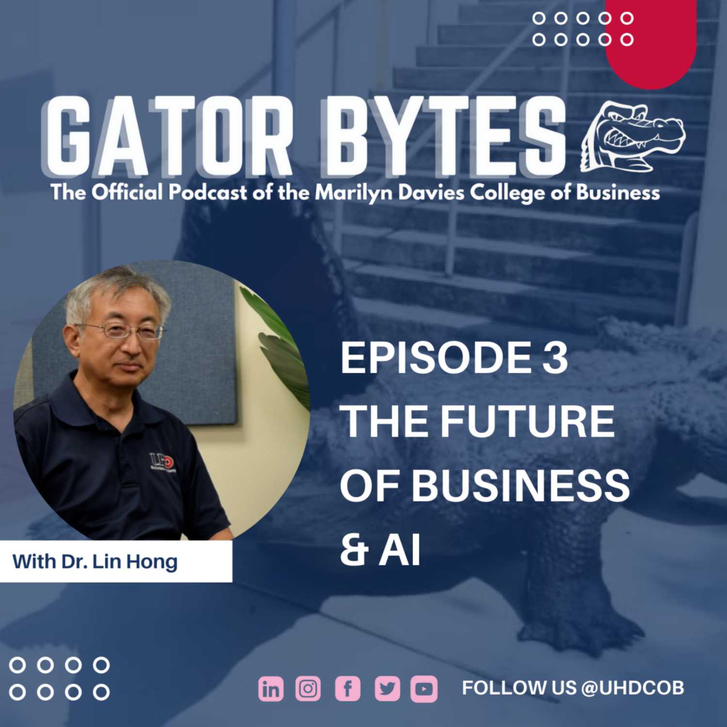 Gator Bytes