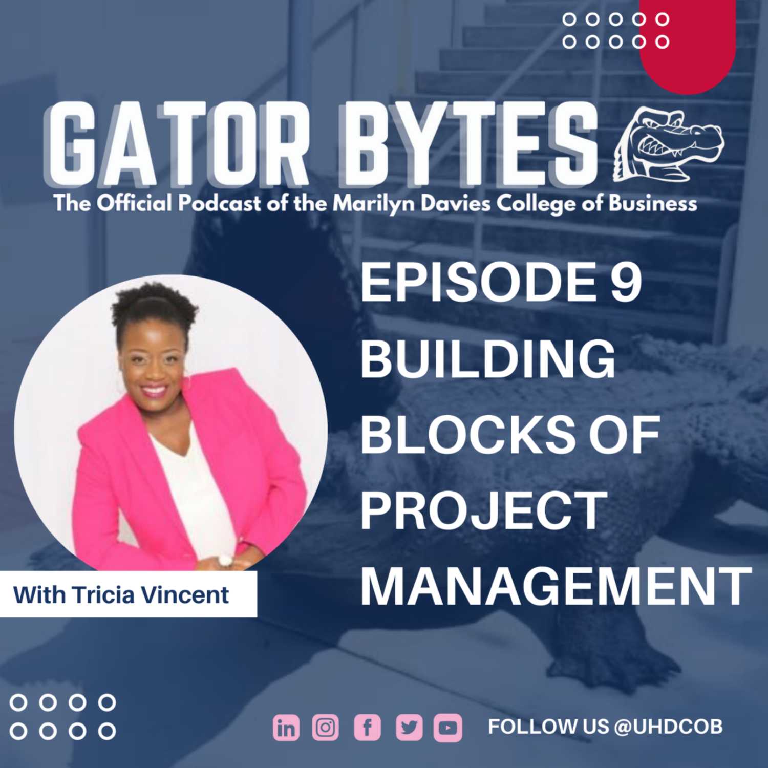 Gator Bytes