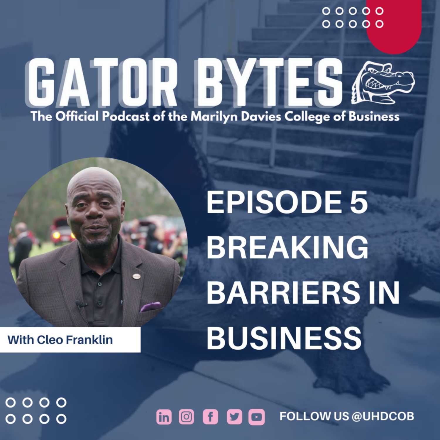 Gator Bytes